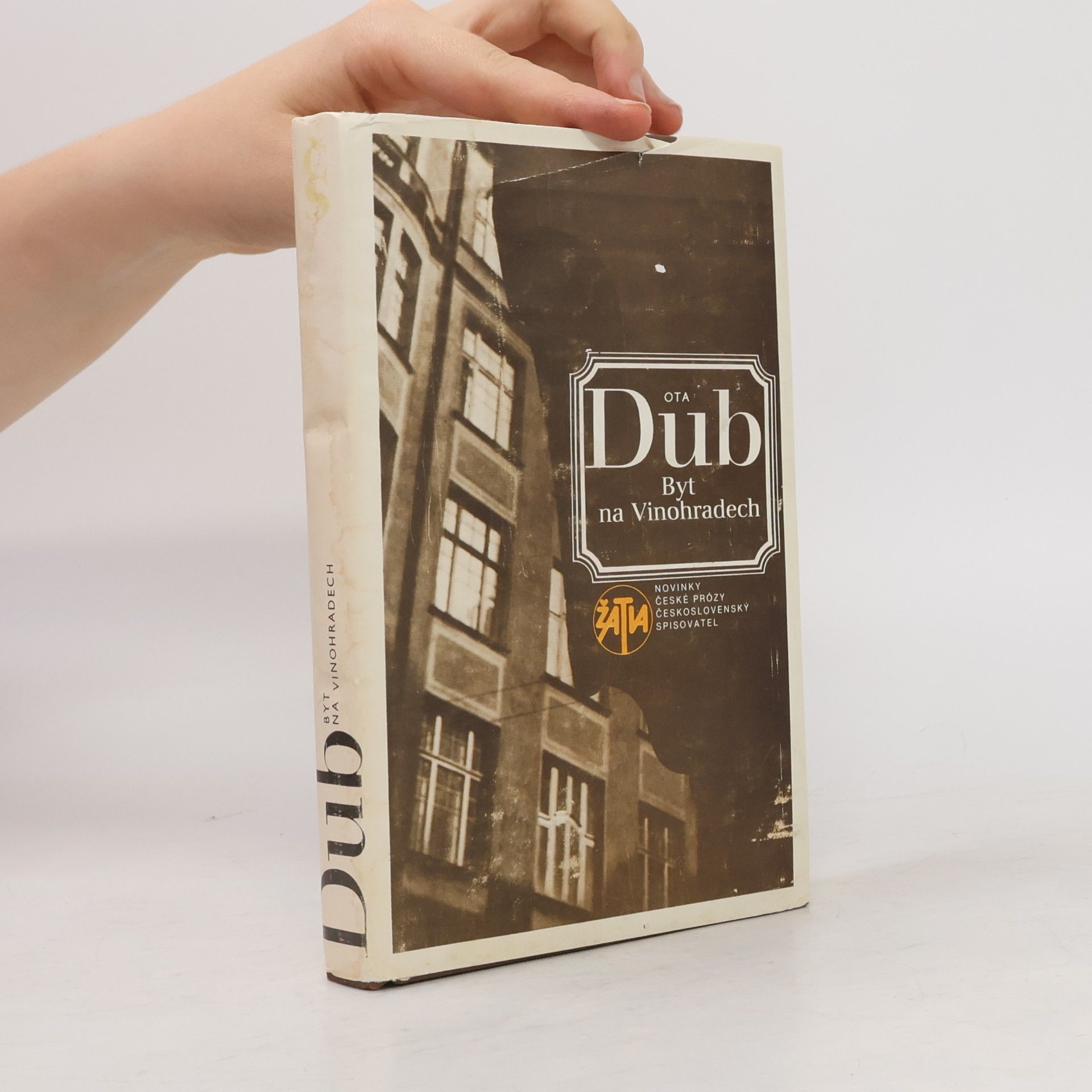 Ota Dub Byt na Vinohradech
