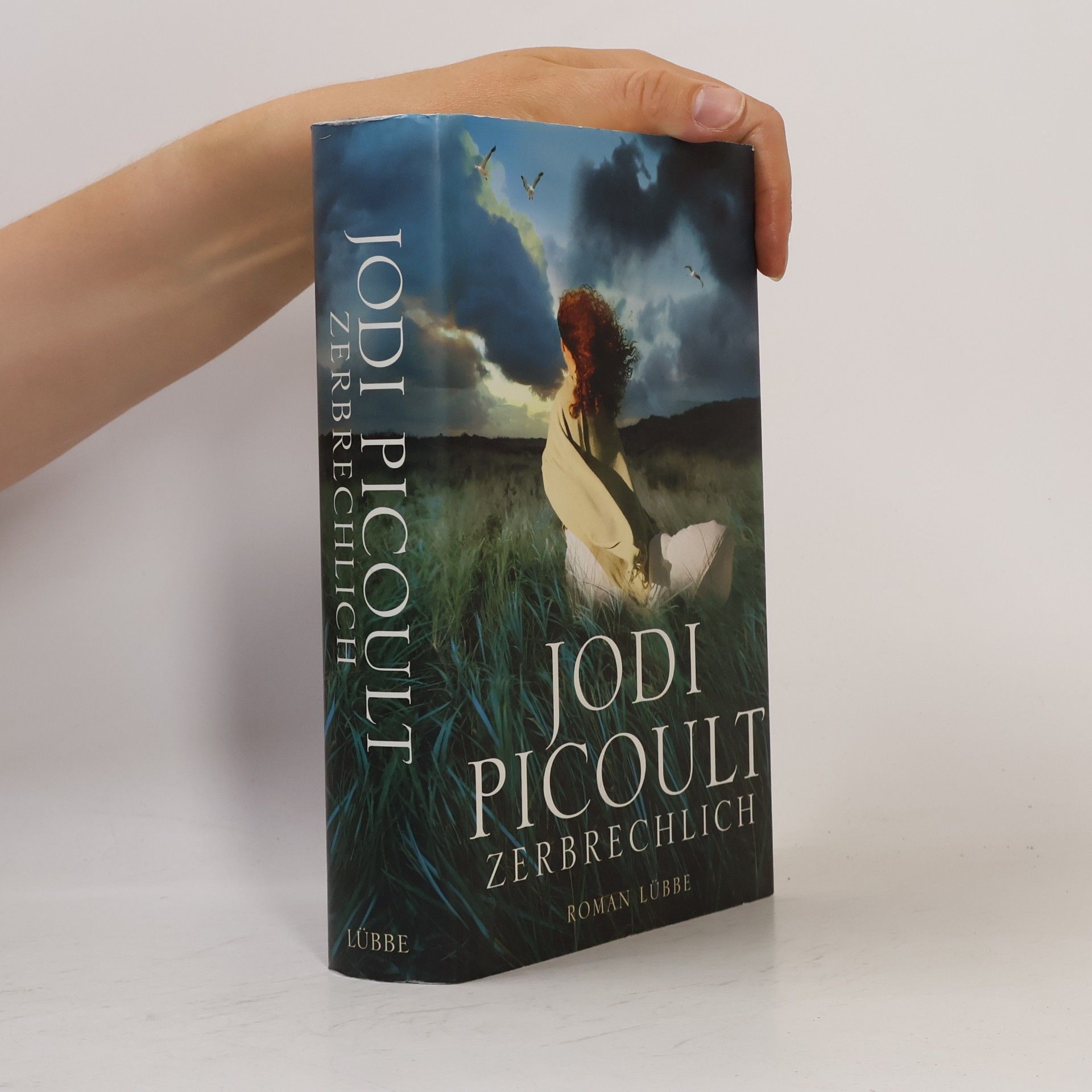 Jodi Picoult Zerbrechlich