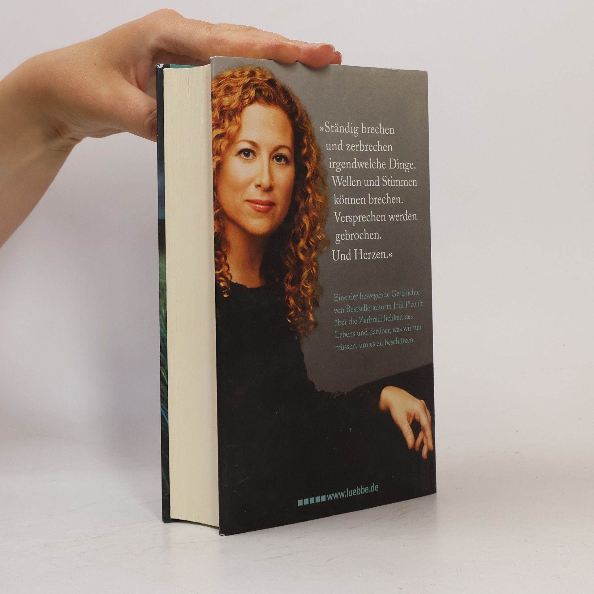 Jodi Picoult Zerbrechlich