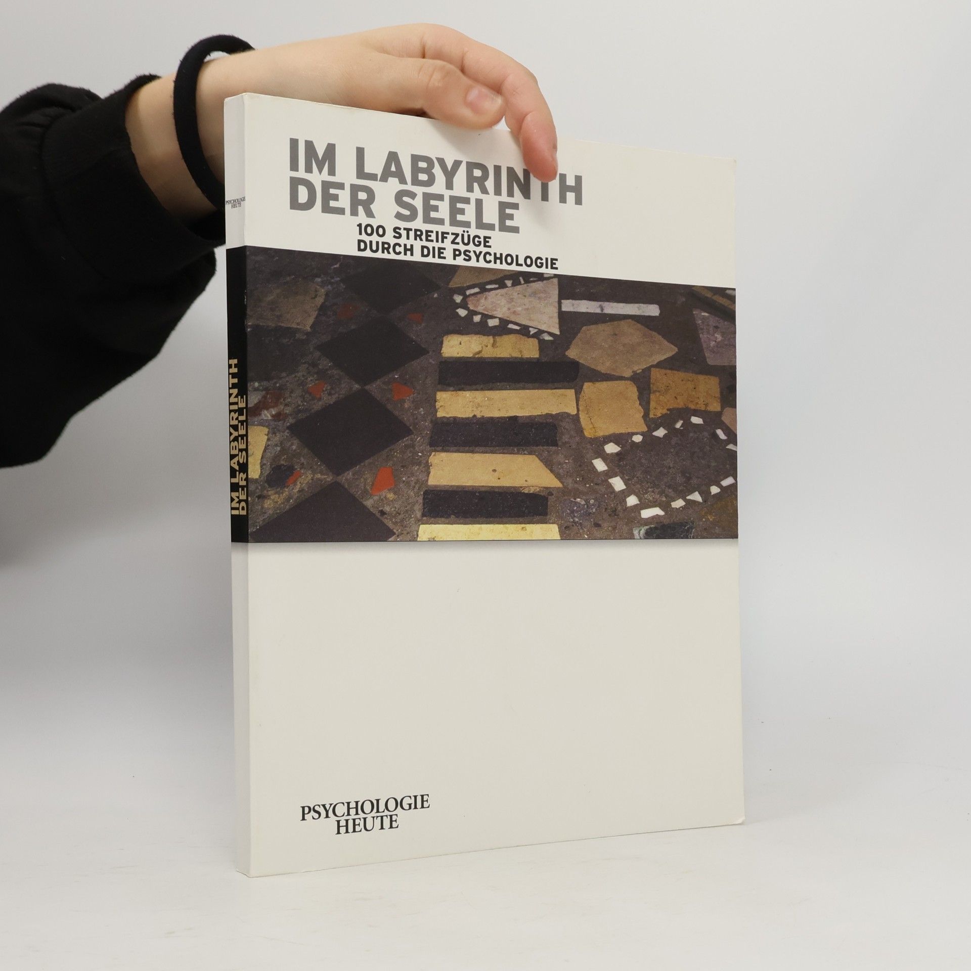Autorenkollektiv Im Labyrinth der Seele