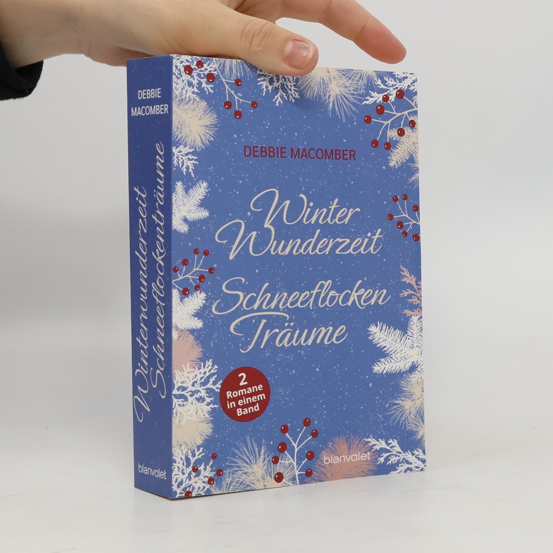 Debbie MacComber Winterwunderzeit Schneeflockenträume