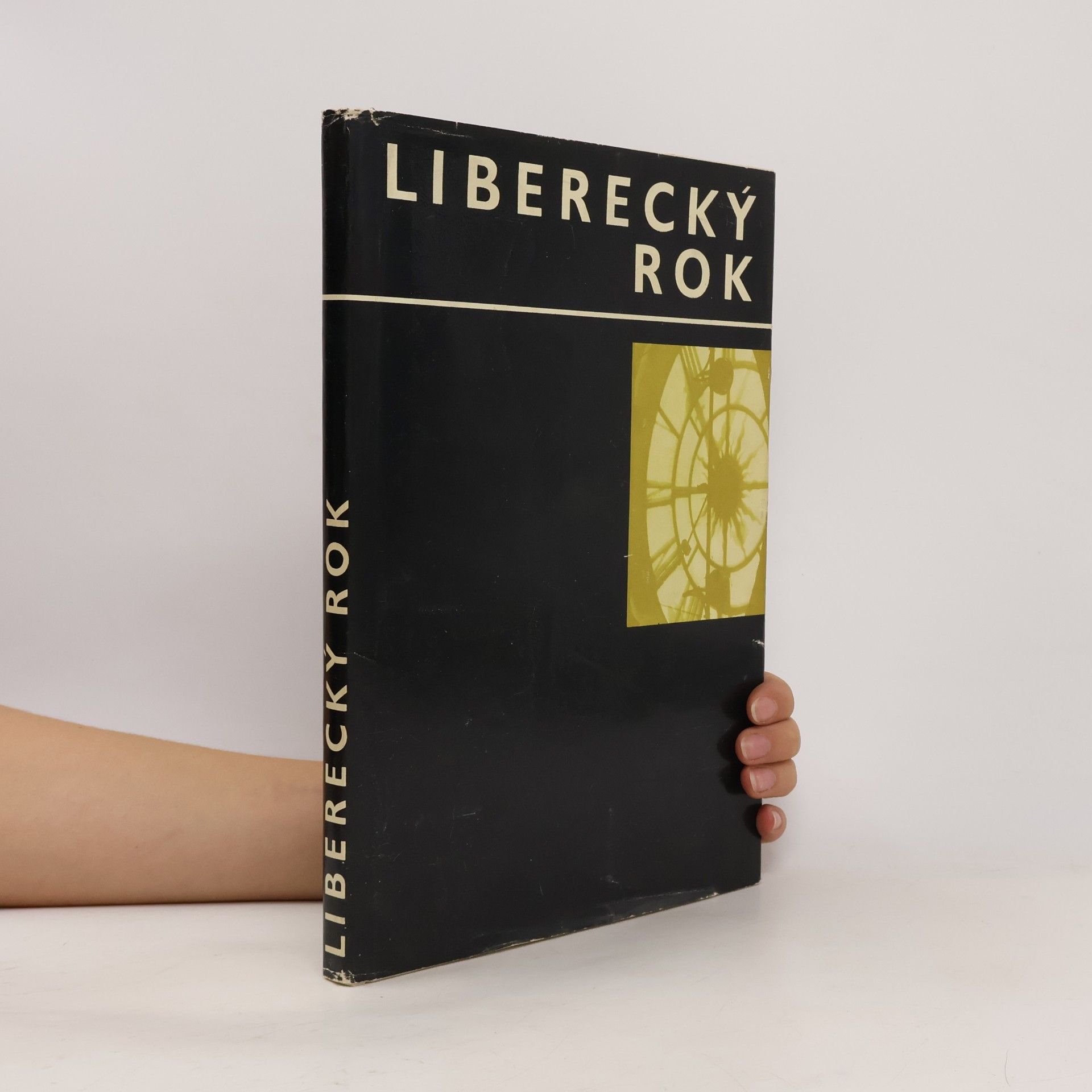Kolektiv autorů Liberecký rok