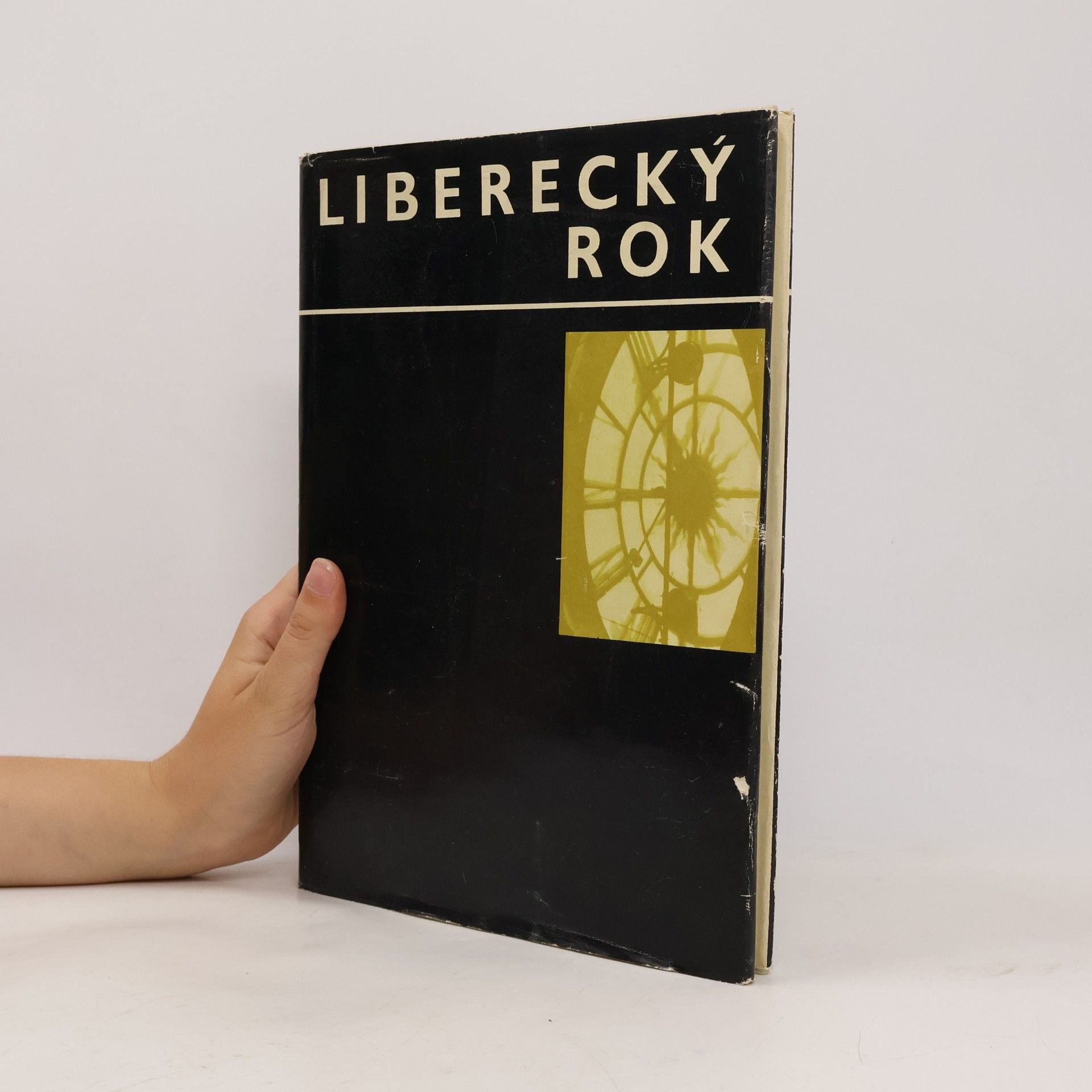 Kolektiv autorů Liberecký rok