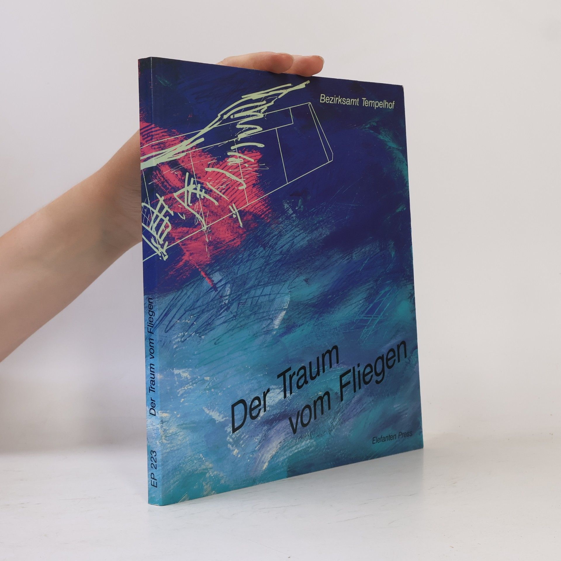 Peggy Nille Der Traum vom Fliegen