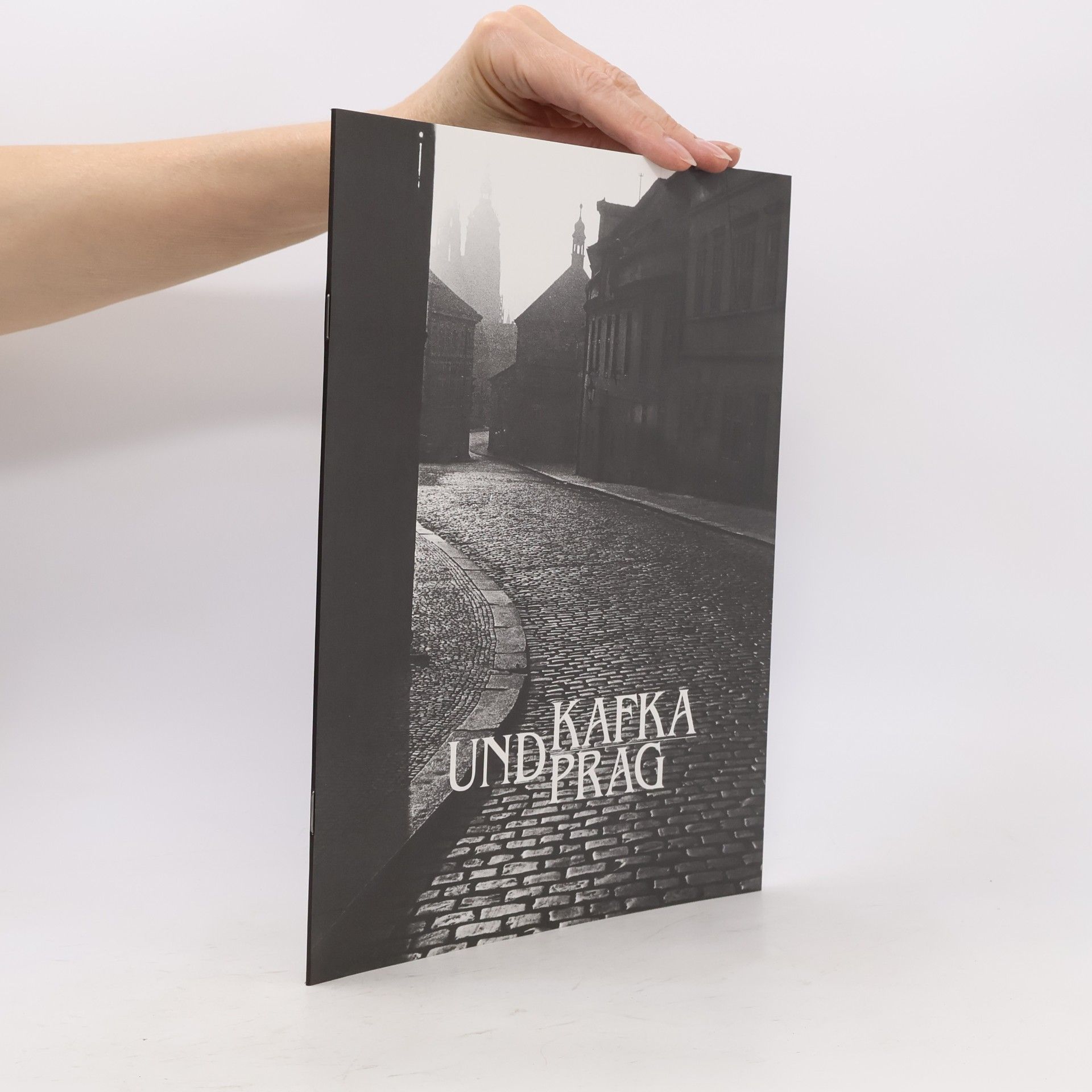 Collectif d'auteurs Kafka und Prag