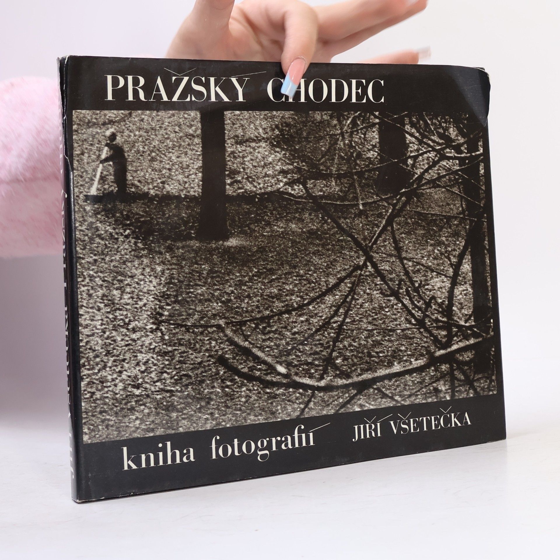 Jiří Všetečka Pražský chodec