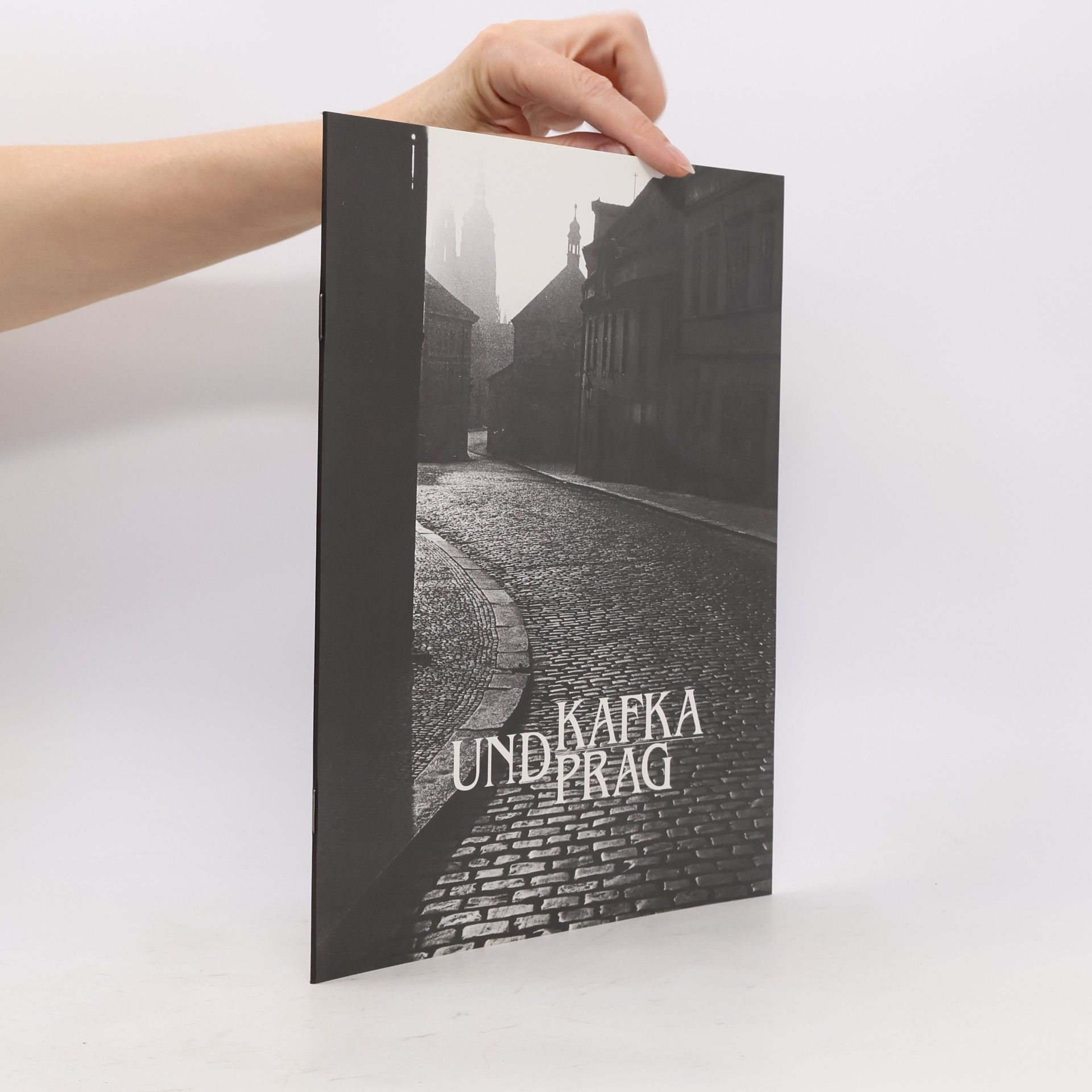 Collectif d'auteurs Kafka und Prag