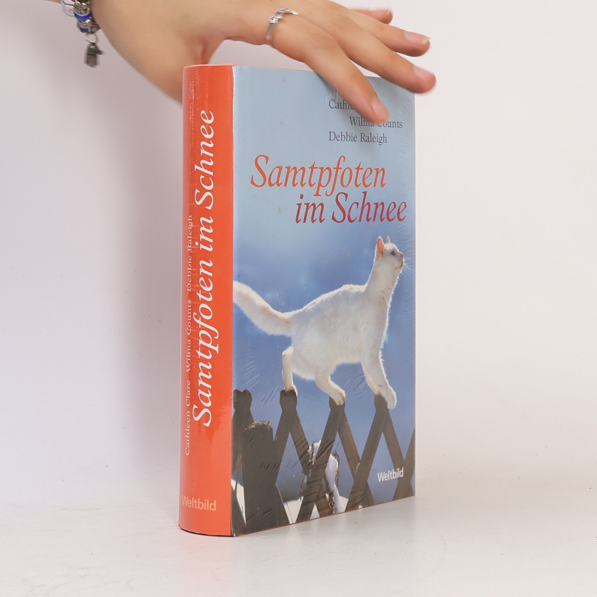 Cathleen Clare Samtpfoten im Schnee