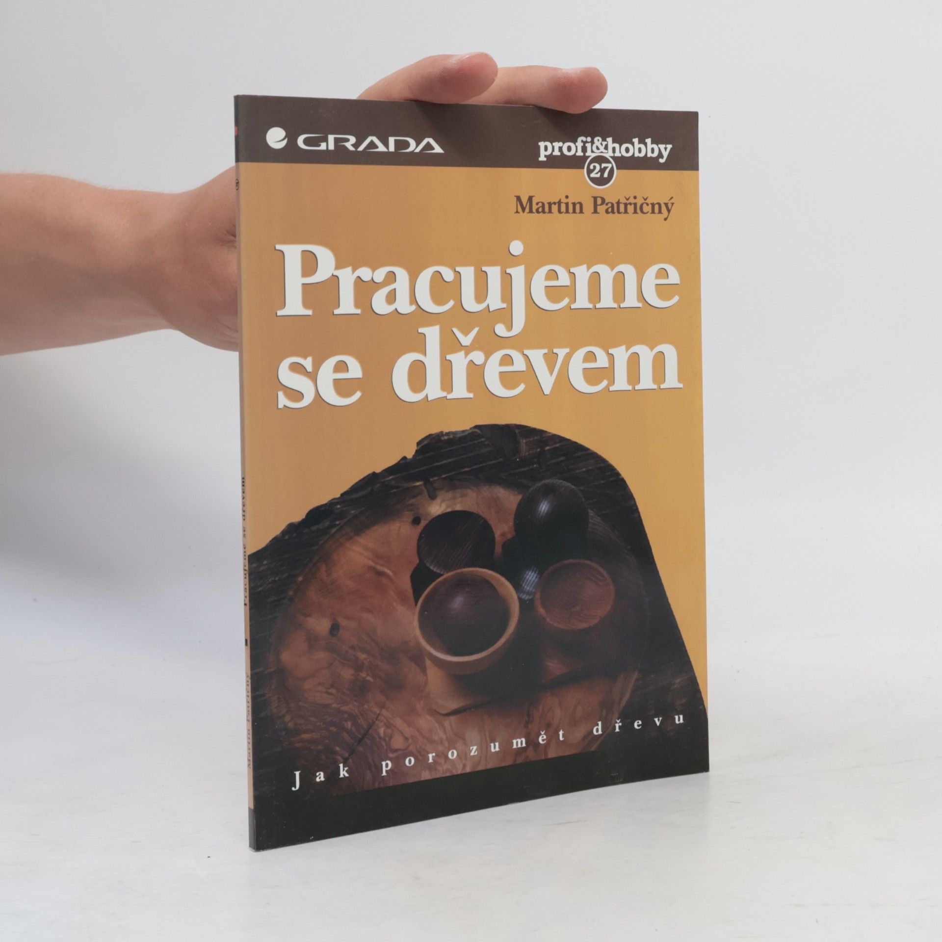 Martin Patřičný Pracujeme se dřevem