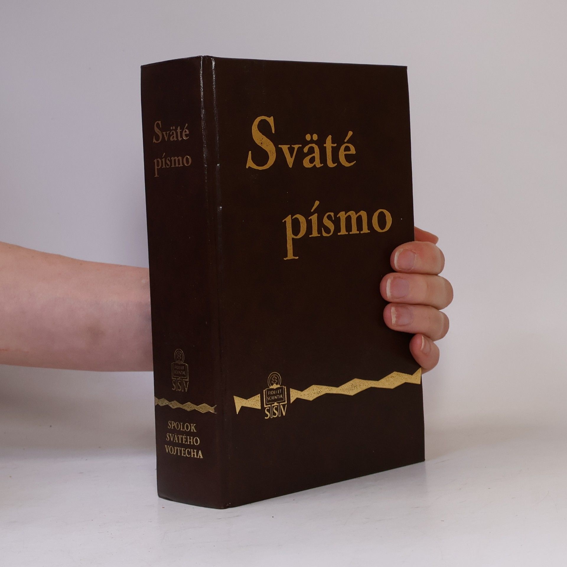 Kolektiv autorů Sväte písmo