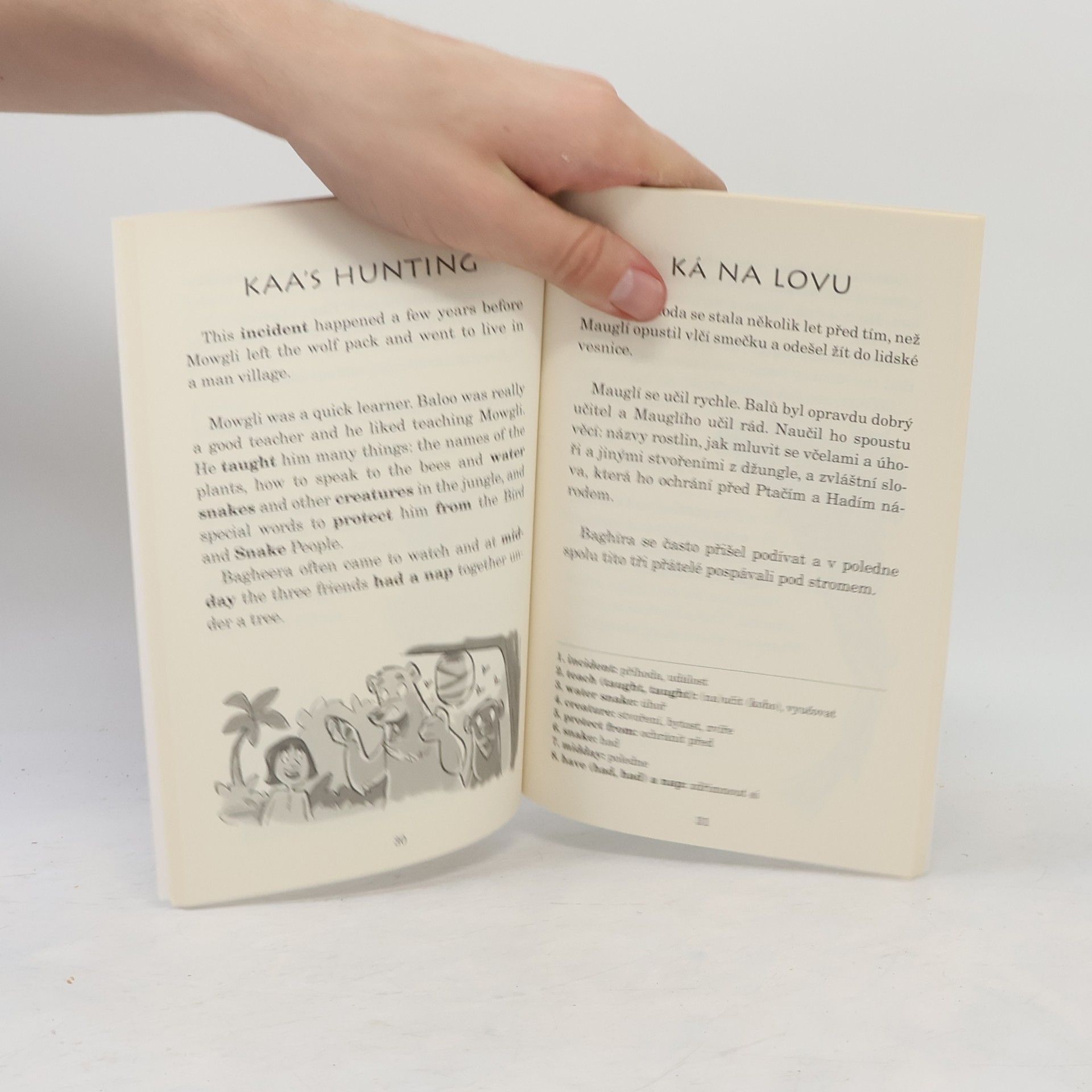 Autorenkollektiv Mowgli: The Jungle Book / Mauglí: Kniha džunglí