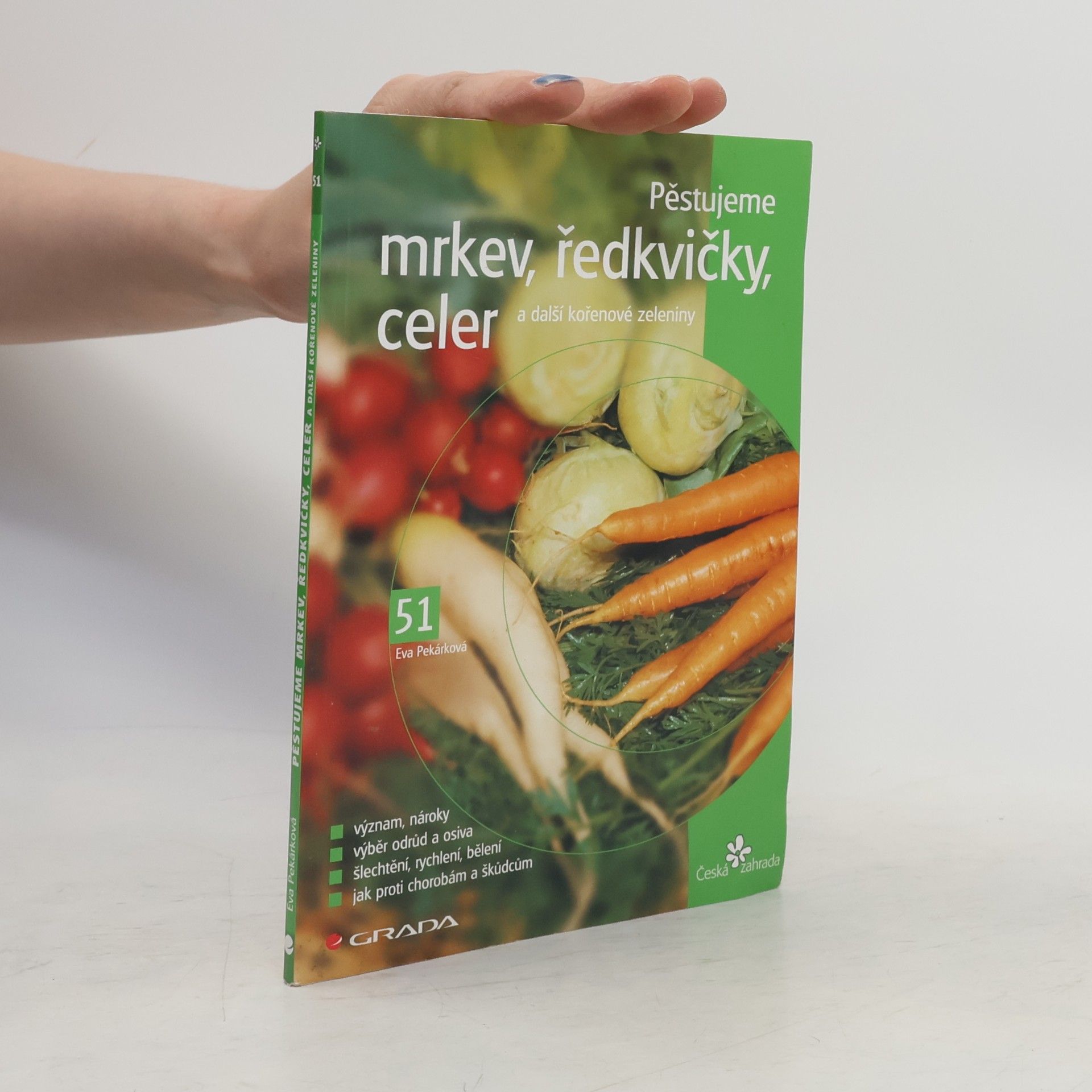 Pěstujeme mrkev, ředkvičky, celer a další kořenové zeleniny