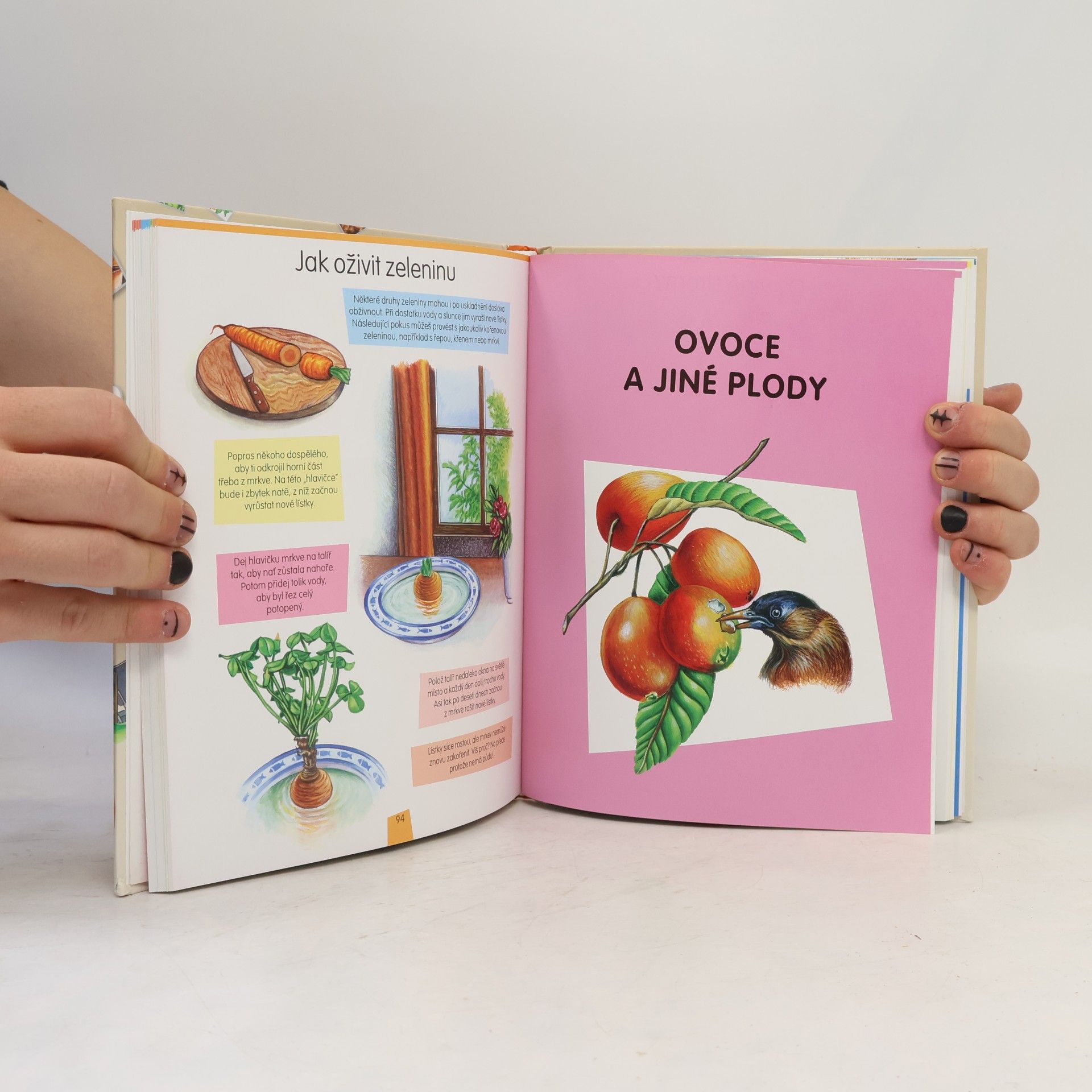 Autorenkollektiv Encyklopedie: Zvířata a rostliny