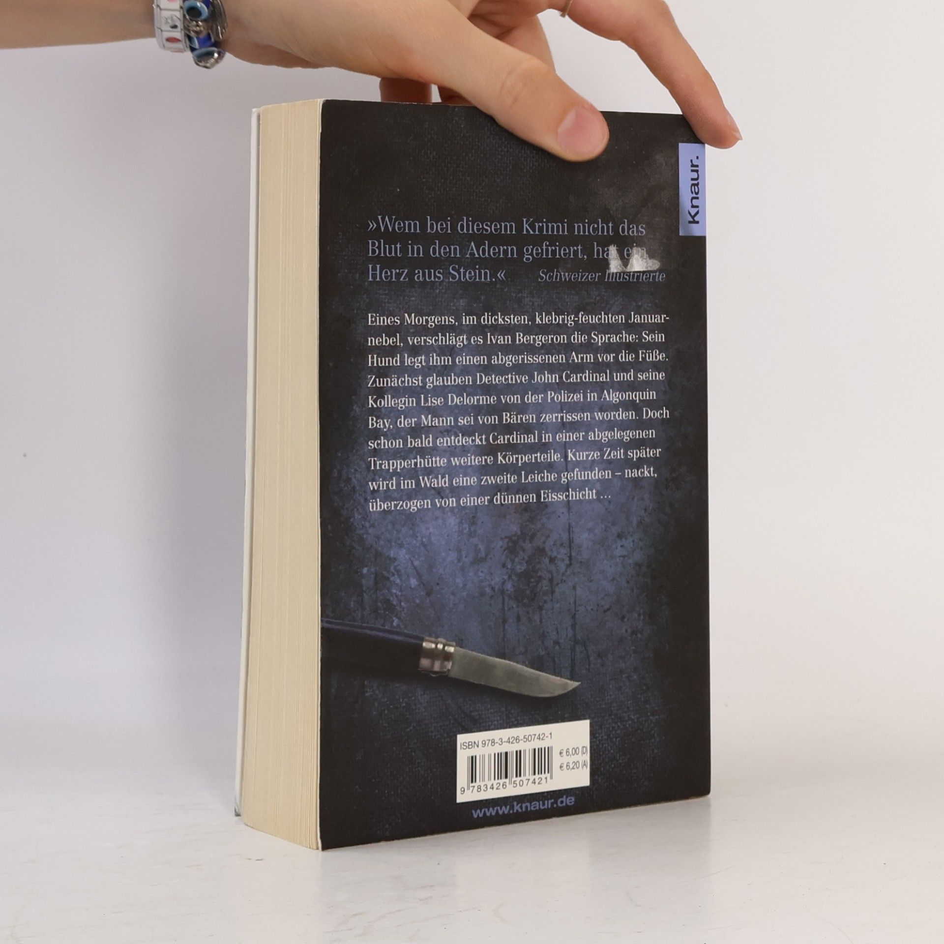 Giles Blunt Blutiges Eis