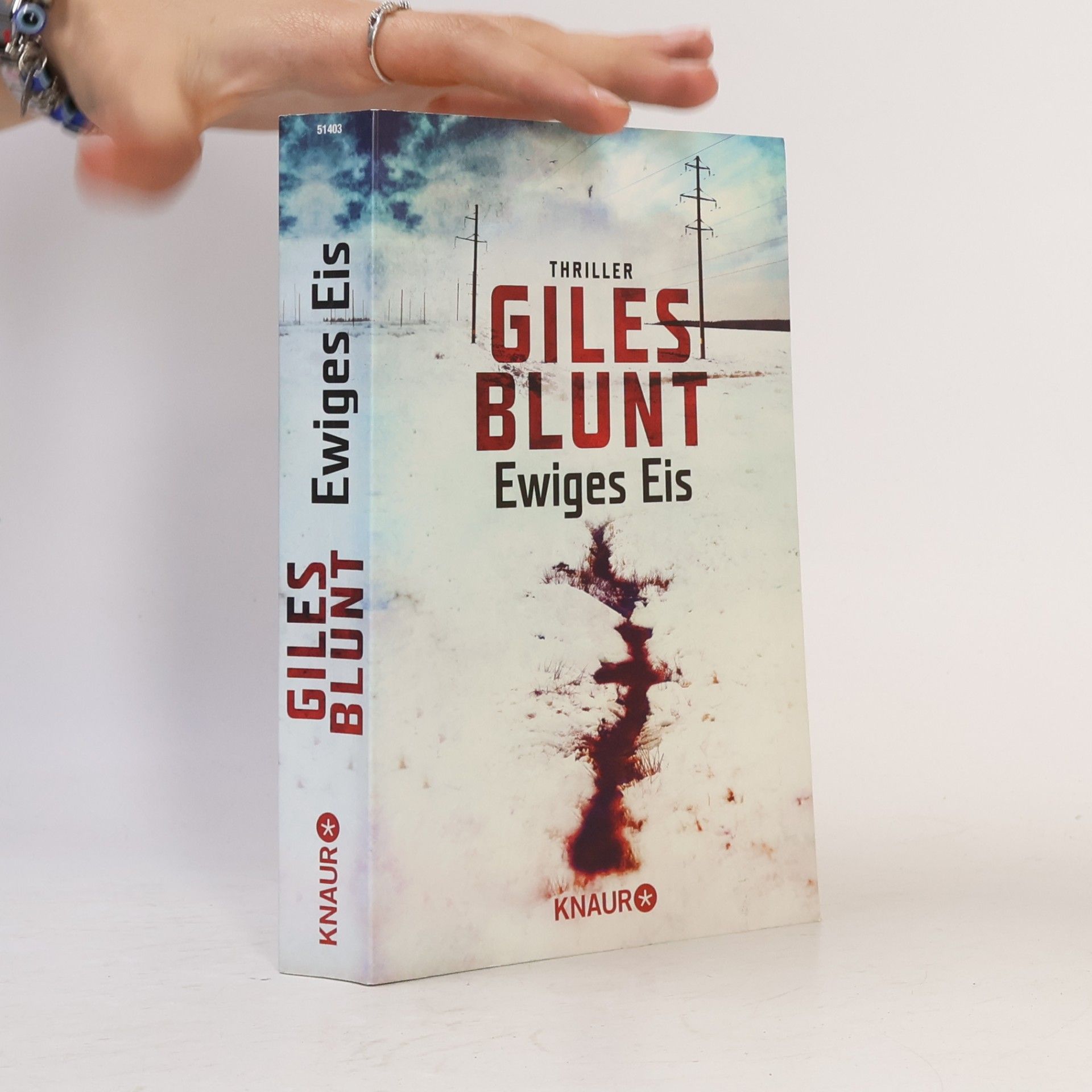 Giles Blunt Ewiges Eis
