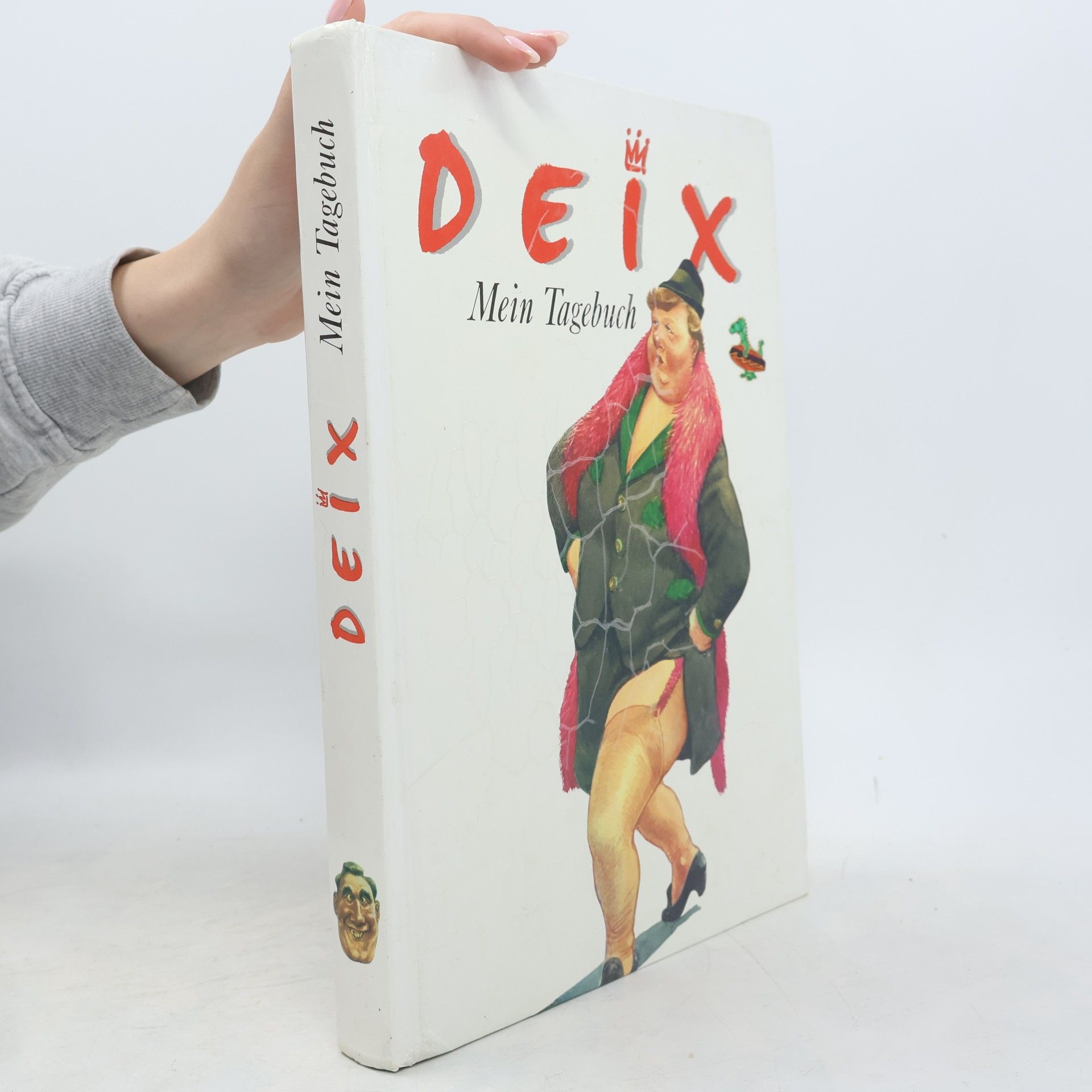 Kolektiv autorů Deix Mein Tagebuch