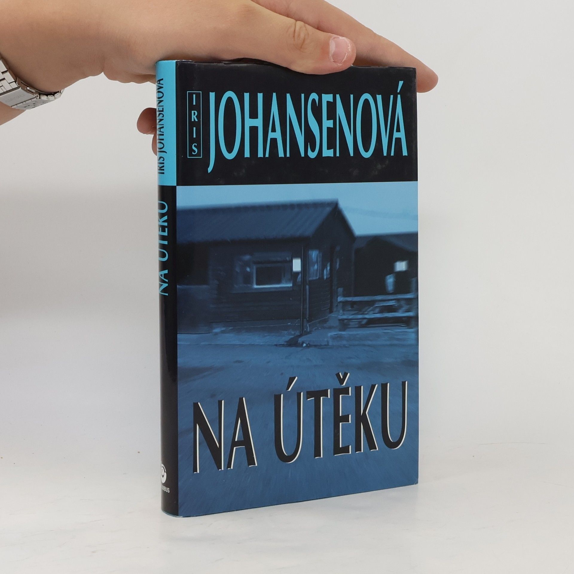 Iris Johansen Na útěku