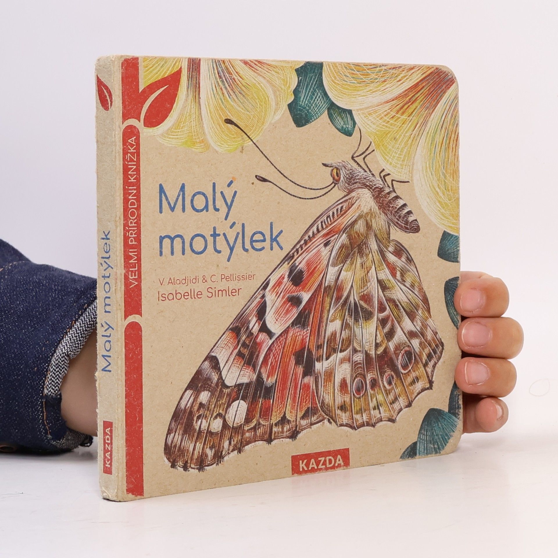 Caroline Pellissier Malý motýlek