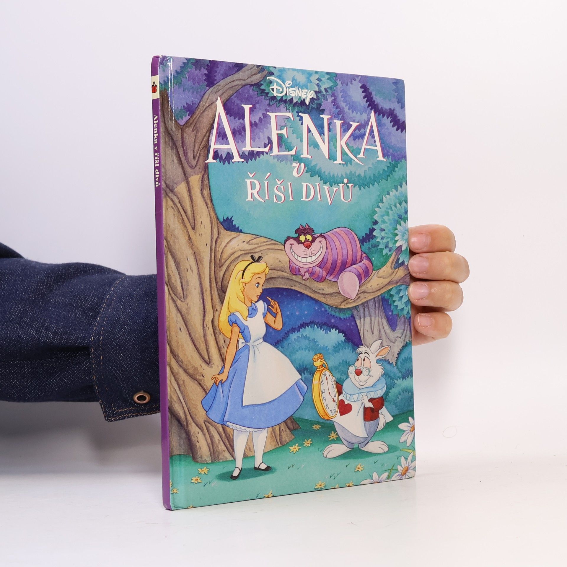 Collectif d'auteurs Alenka v říši divů