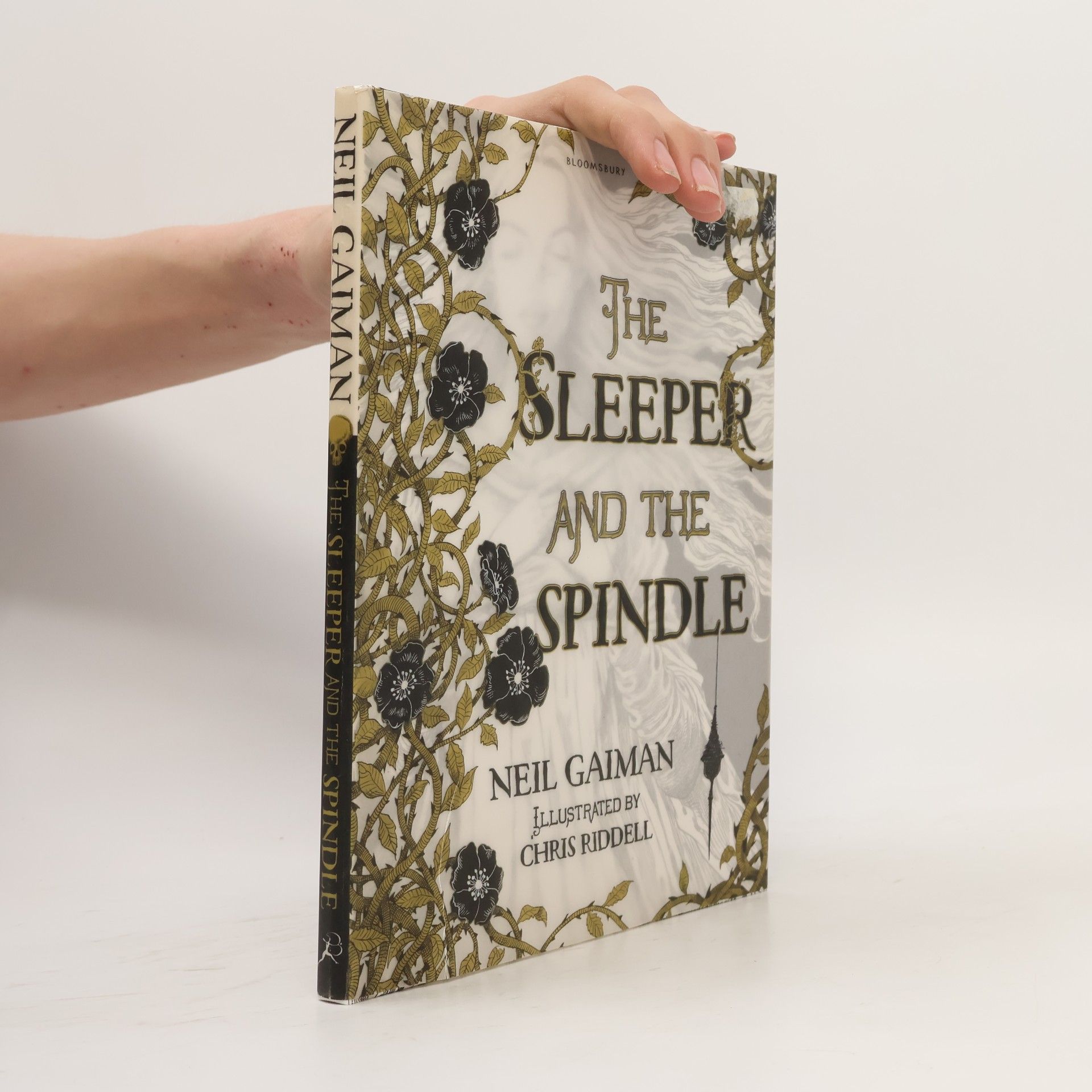 Neil Gaiman The sleeper and the spindle