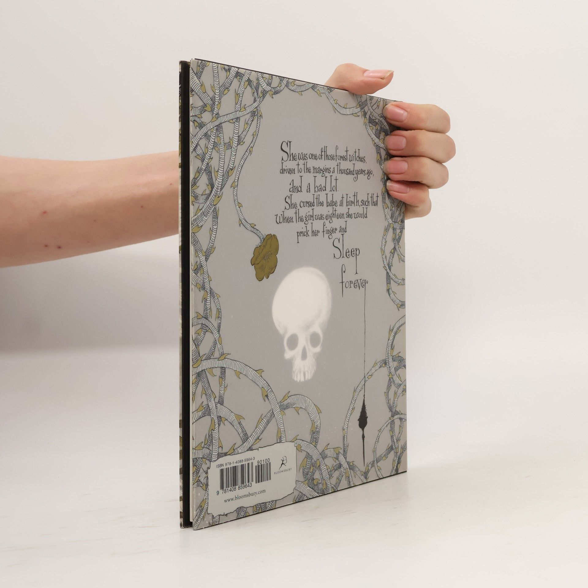 Neil Gaiman The sleeper and the spindle