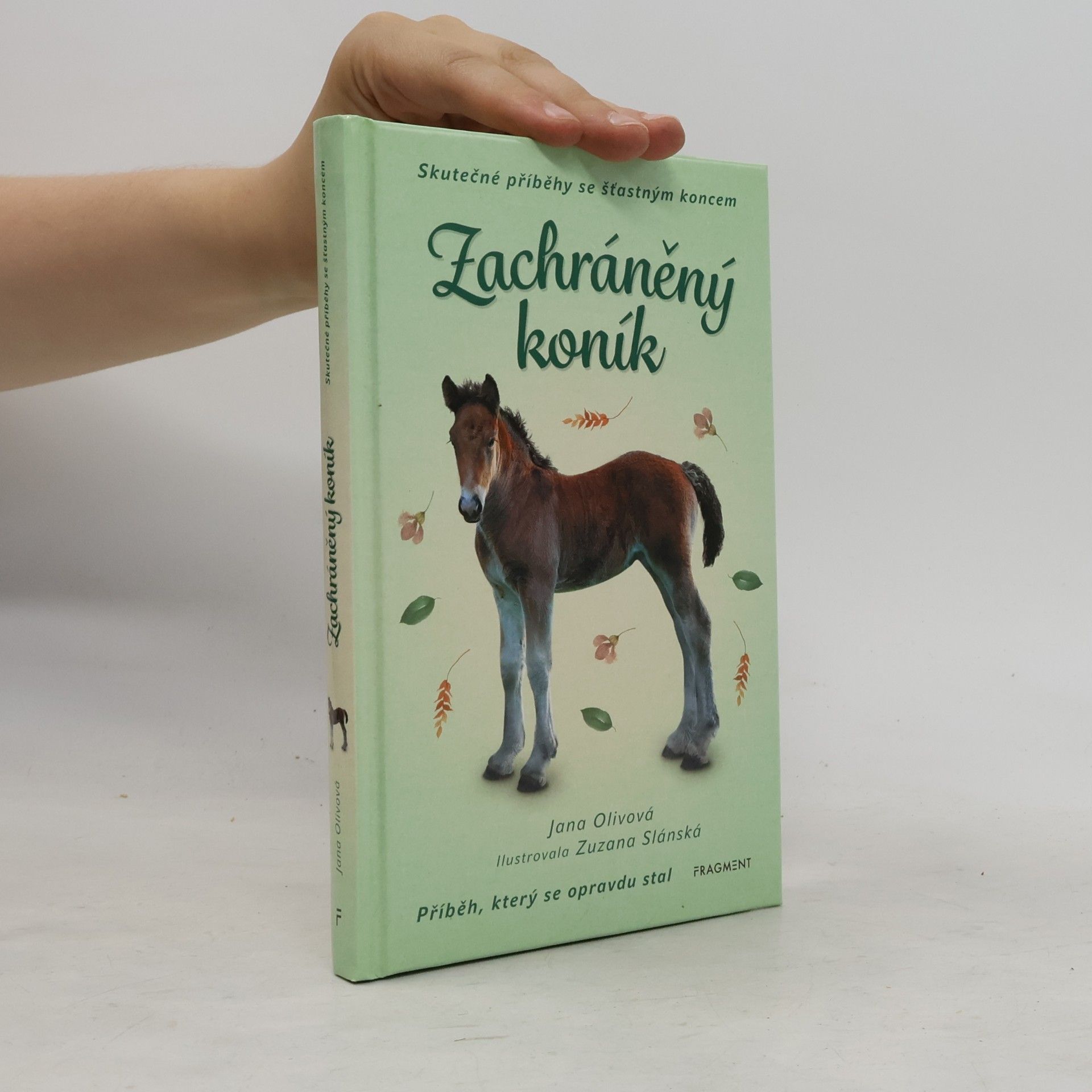 Jana Olivová Zachráněný koník