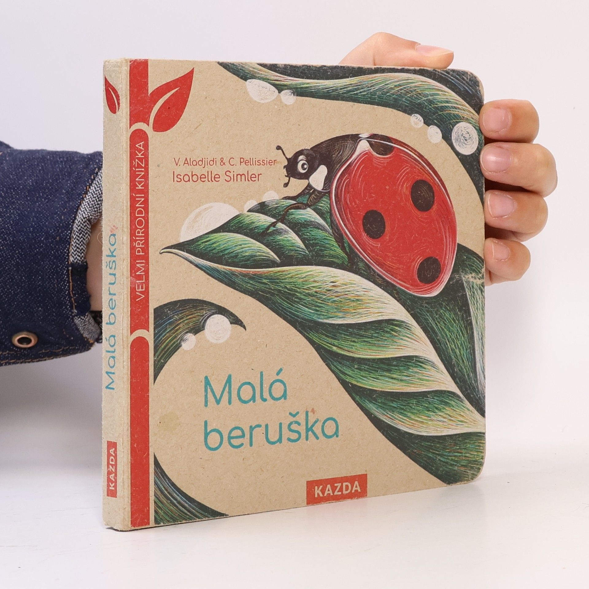 Isabelle Simler Malá beruška