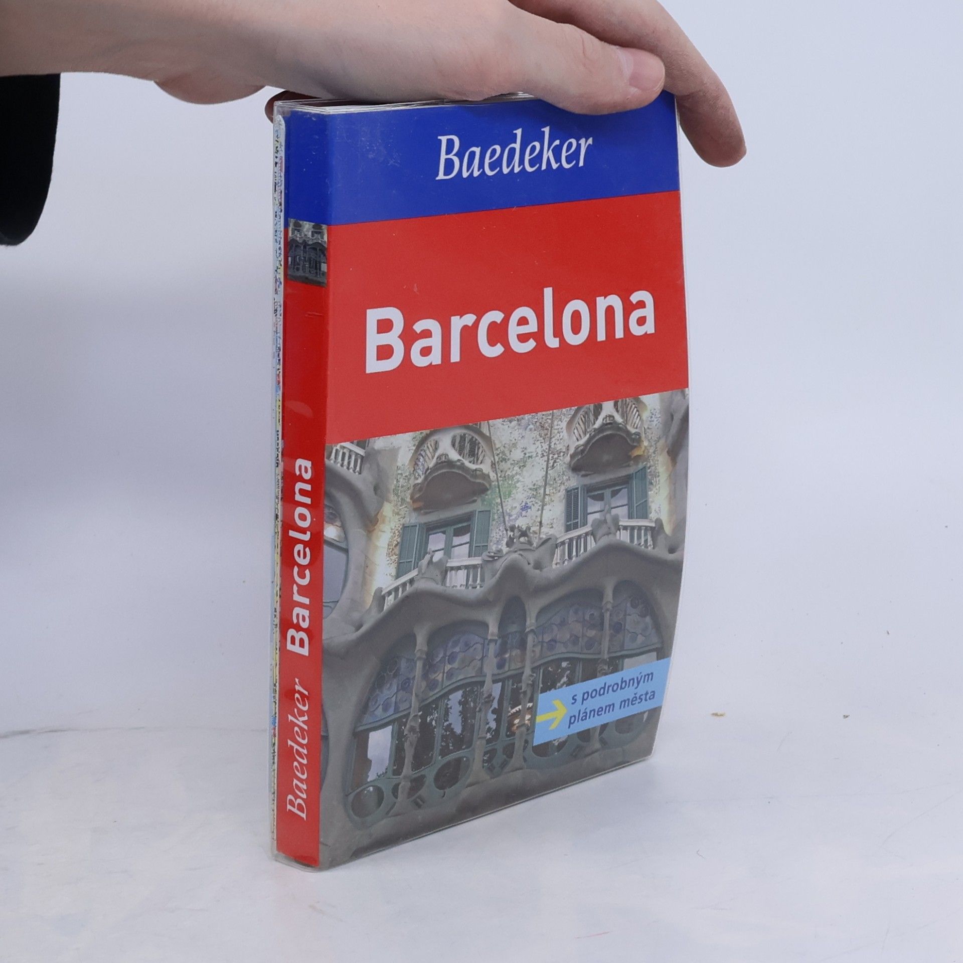 Dorothea Massmann Barcelona