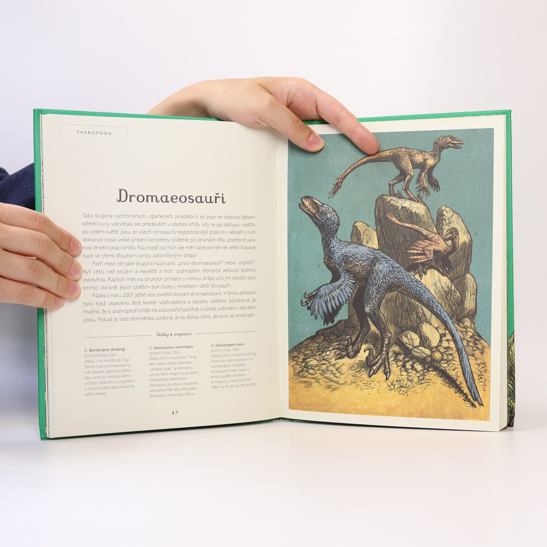 Lily Murray Dinosaurium - pro mladší čtenáře
