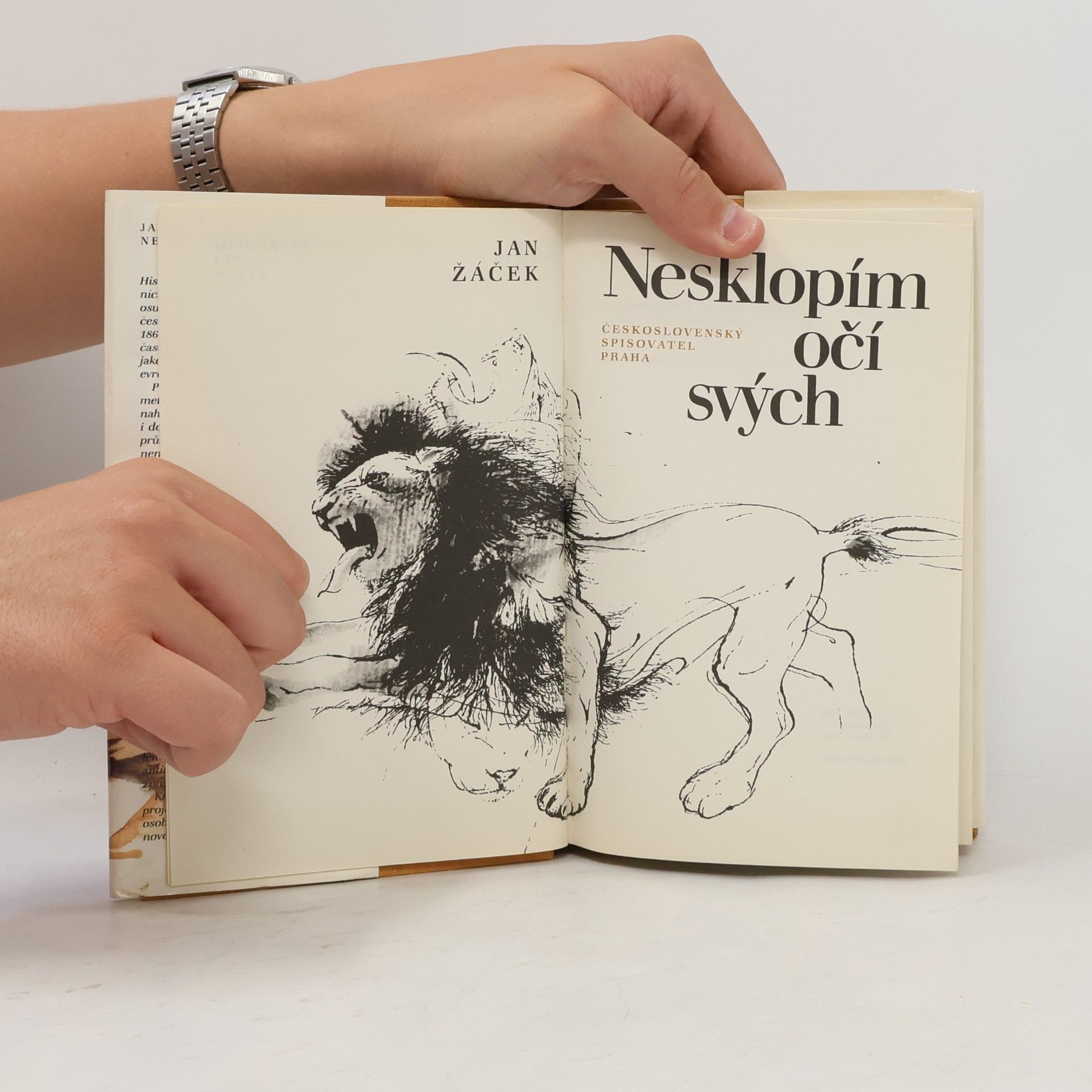 Jan Žáček Nesklopím očí svých