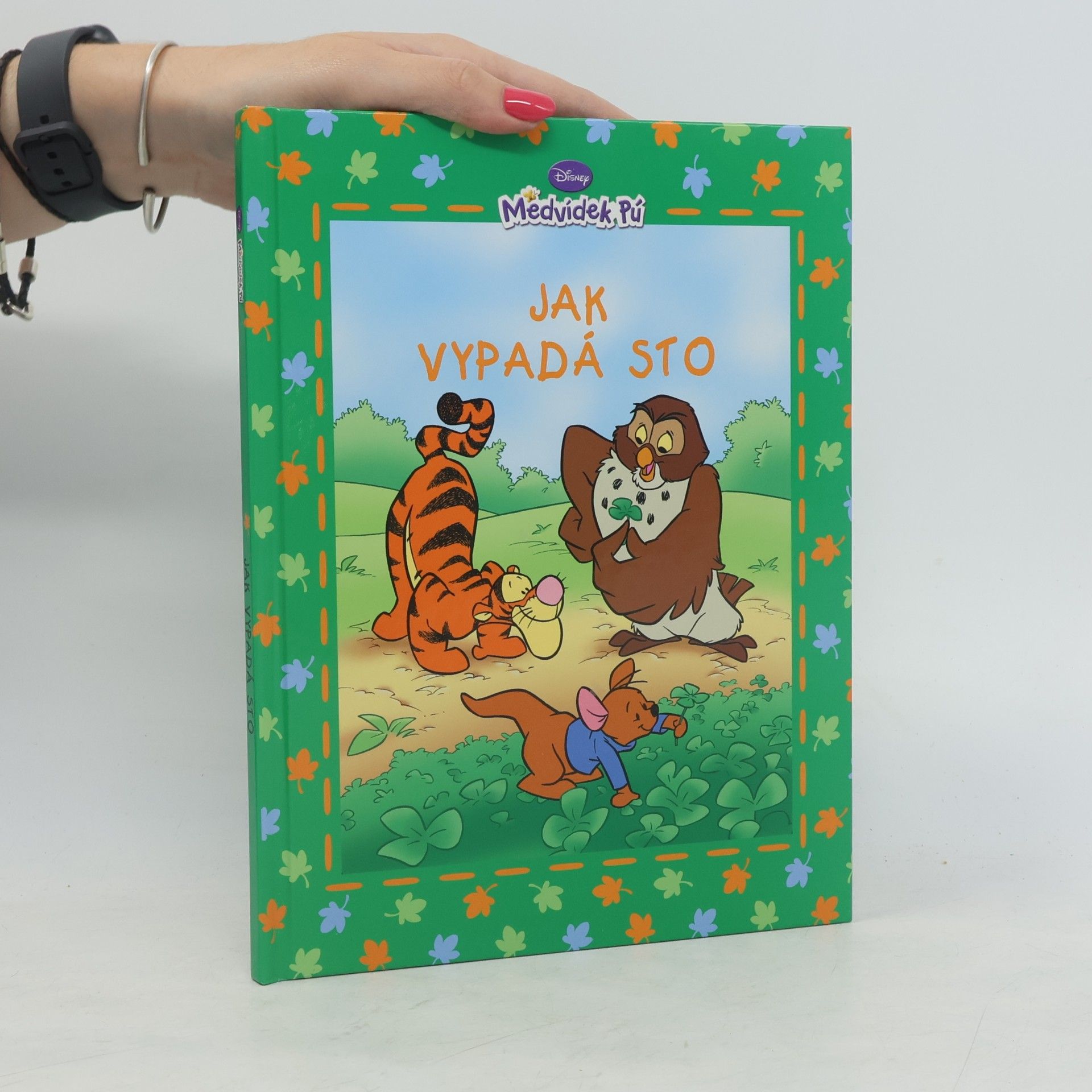 Walt Disney Medvídek Pú - Jak vypadá sto