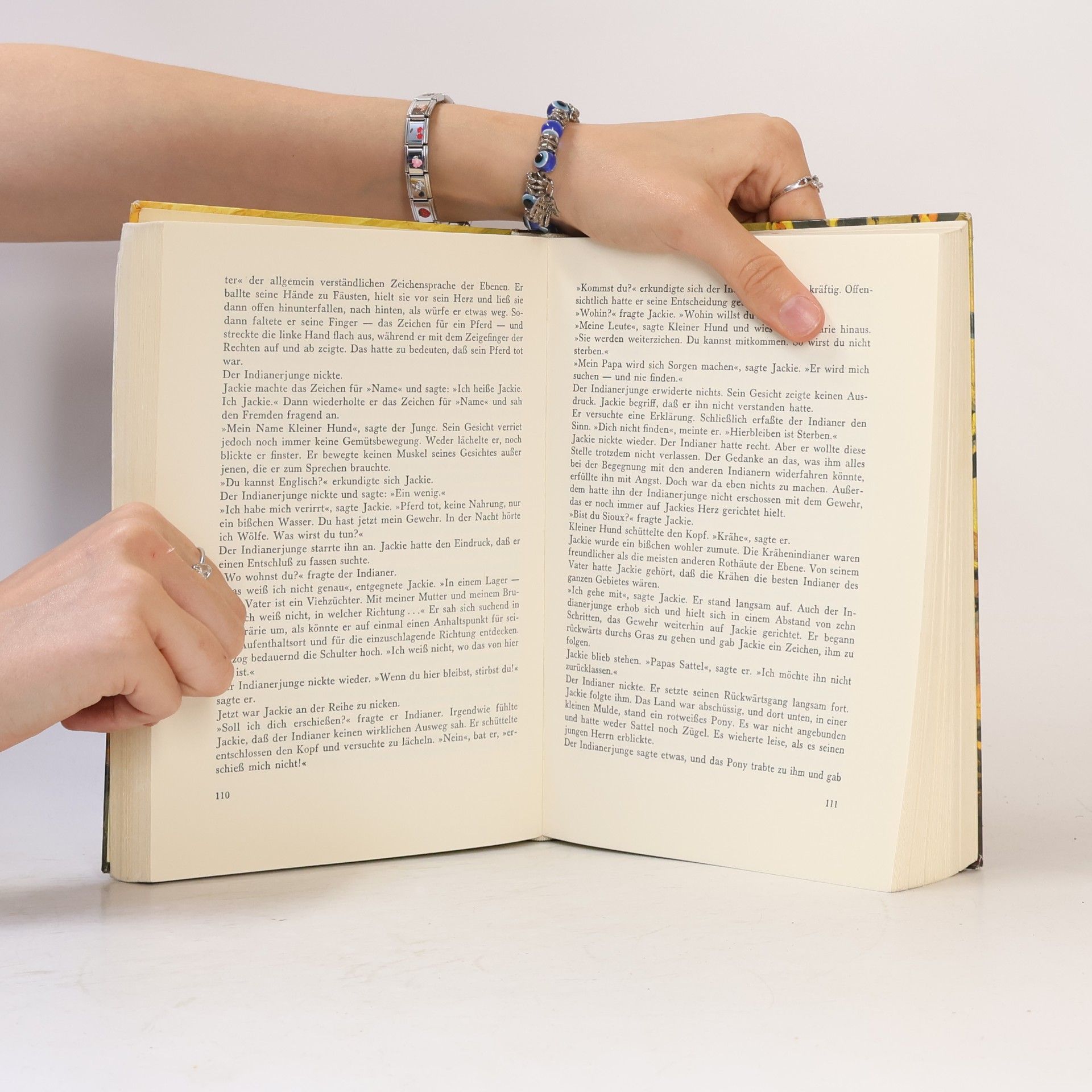 Autorenkollektiv Geschichten aus dem wilden Westen