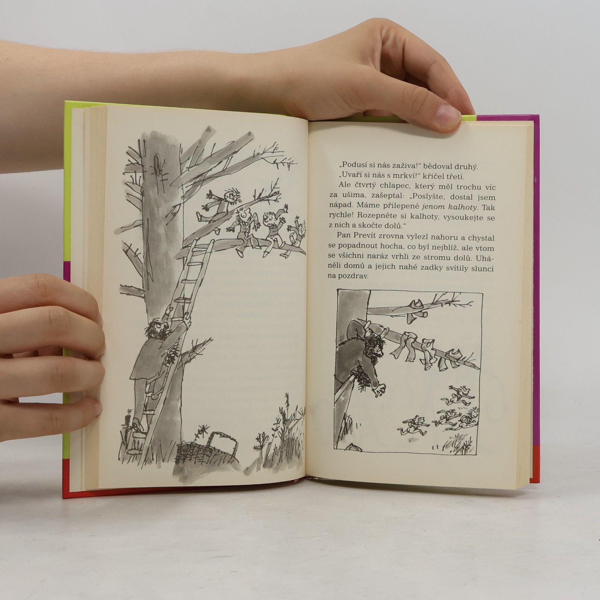 Roald Dahl Prevítovi