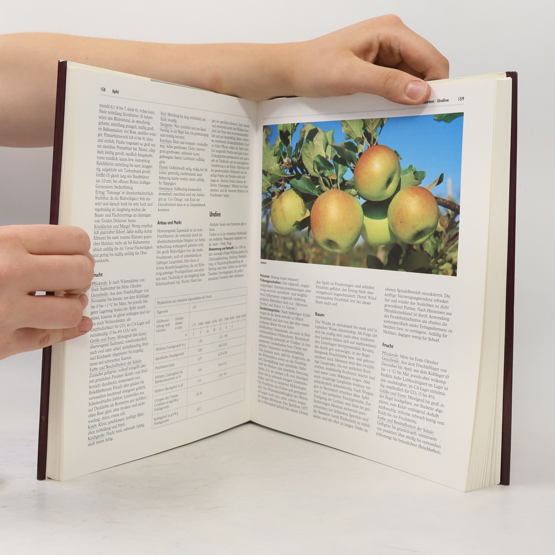 Robert Silbereisen Obstsorten-Atlas
