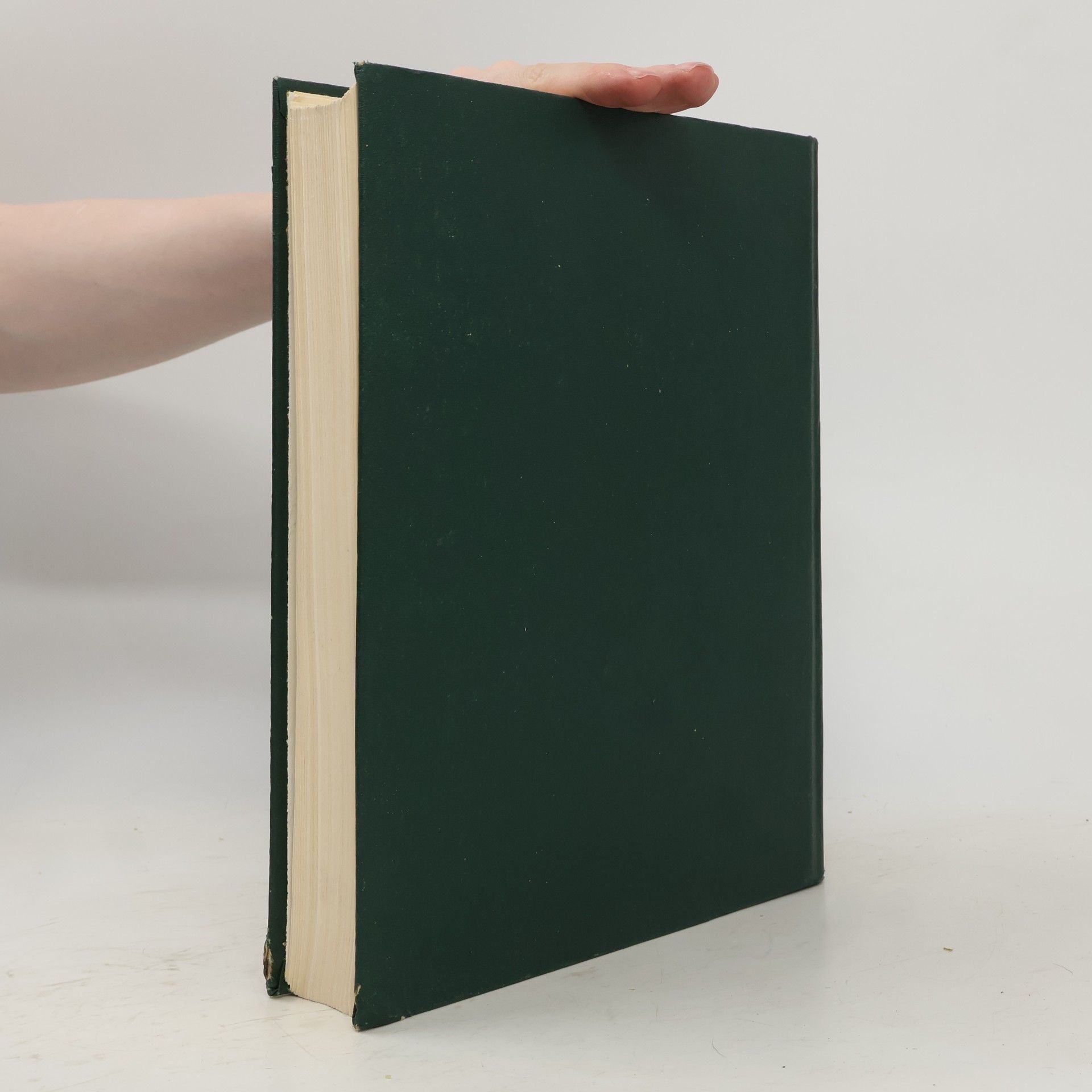Kolektiv autorů Большой англо-русский политехнический словарь II. M-Z. The Comprehensive English-Russian Scientific and Technical Dictionary II. M-Z