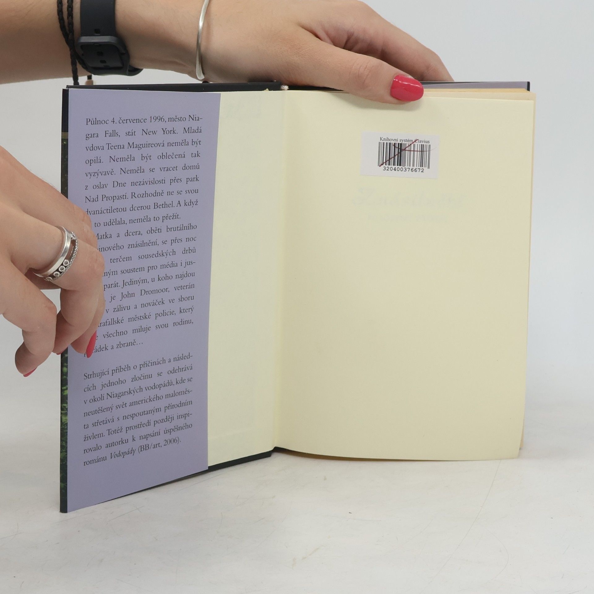 Joyce Carol Oates Znásilnění : milostný příběh