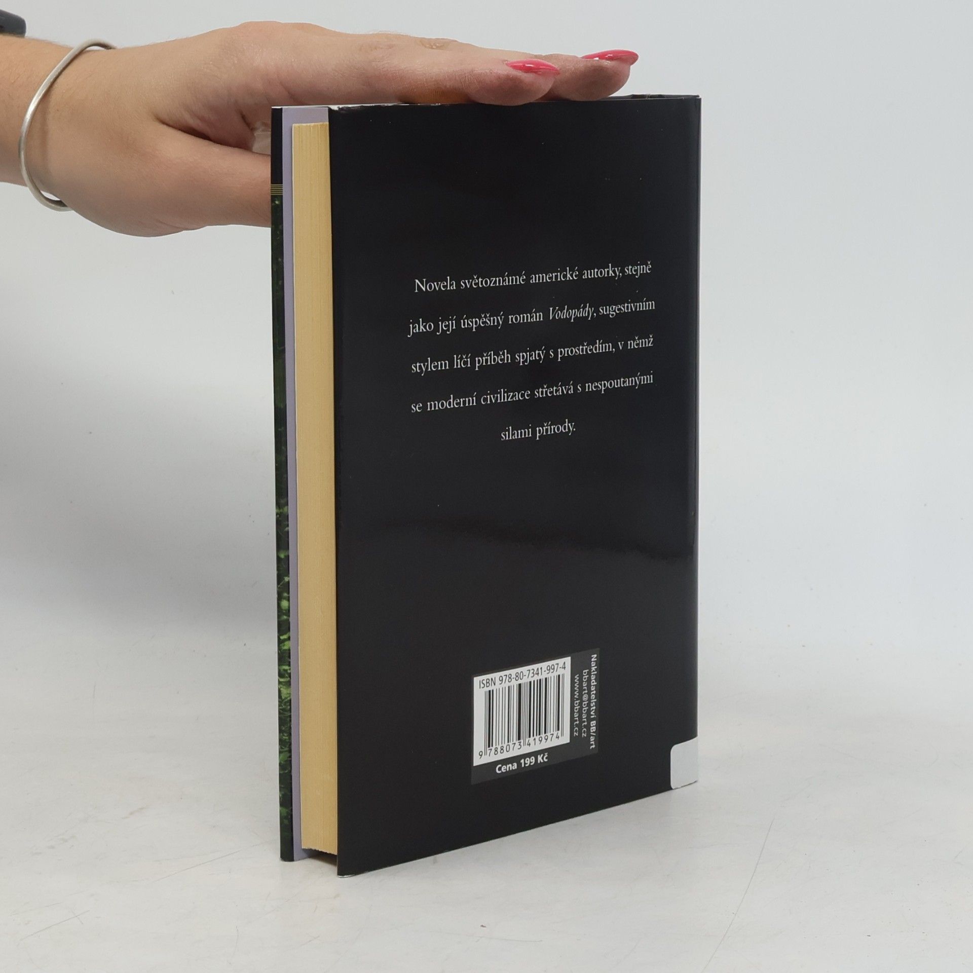 Joyce Carol Oates Znásilnění : milostný příběh