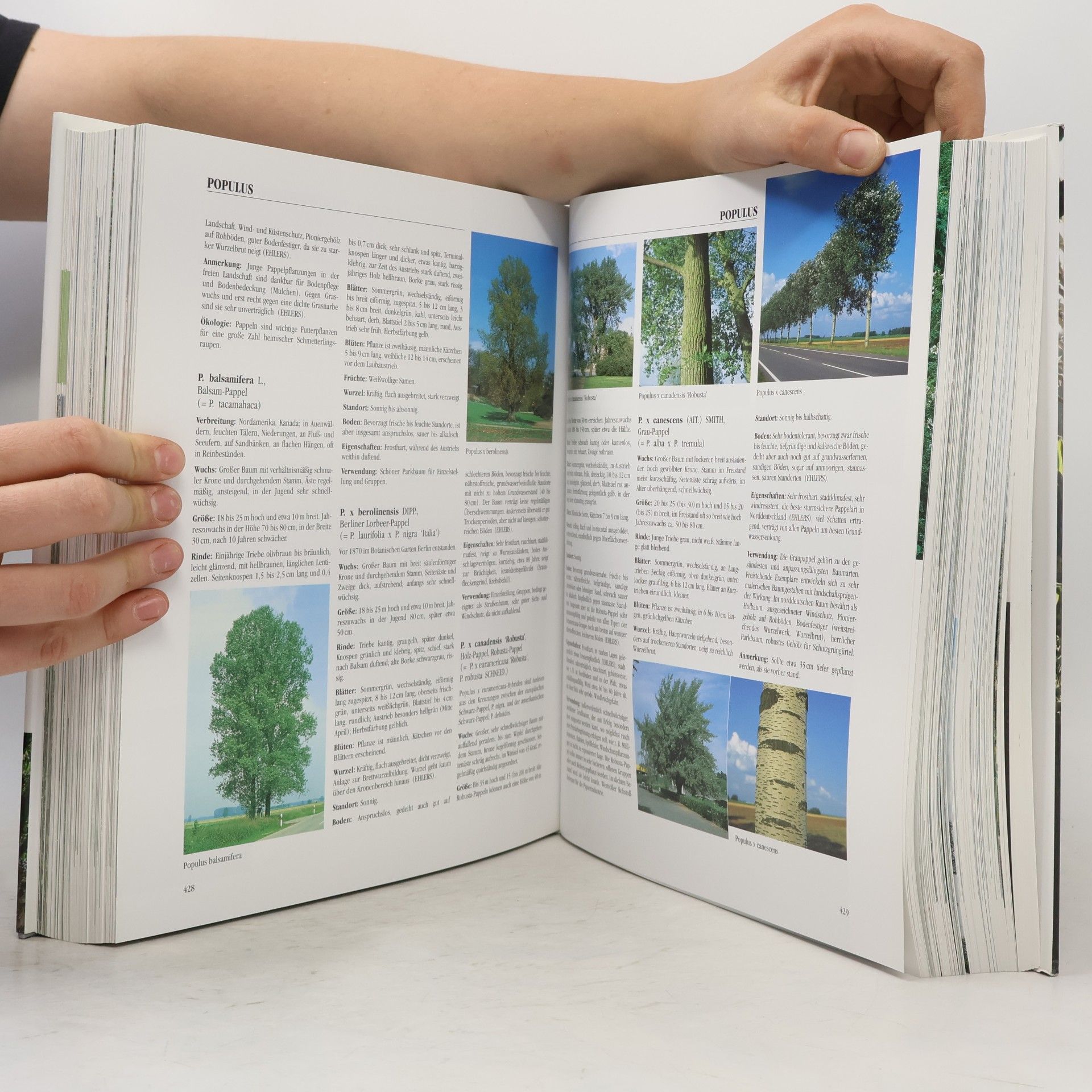 Hans-Dieter Warda Das große Buch der Garten- und Landschaftsgehölze