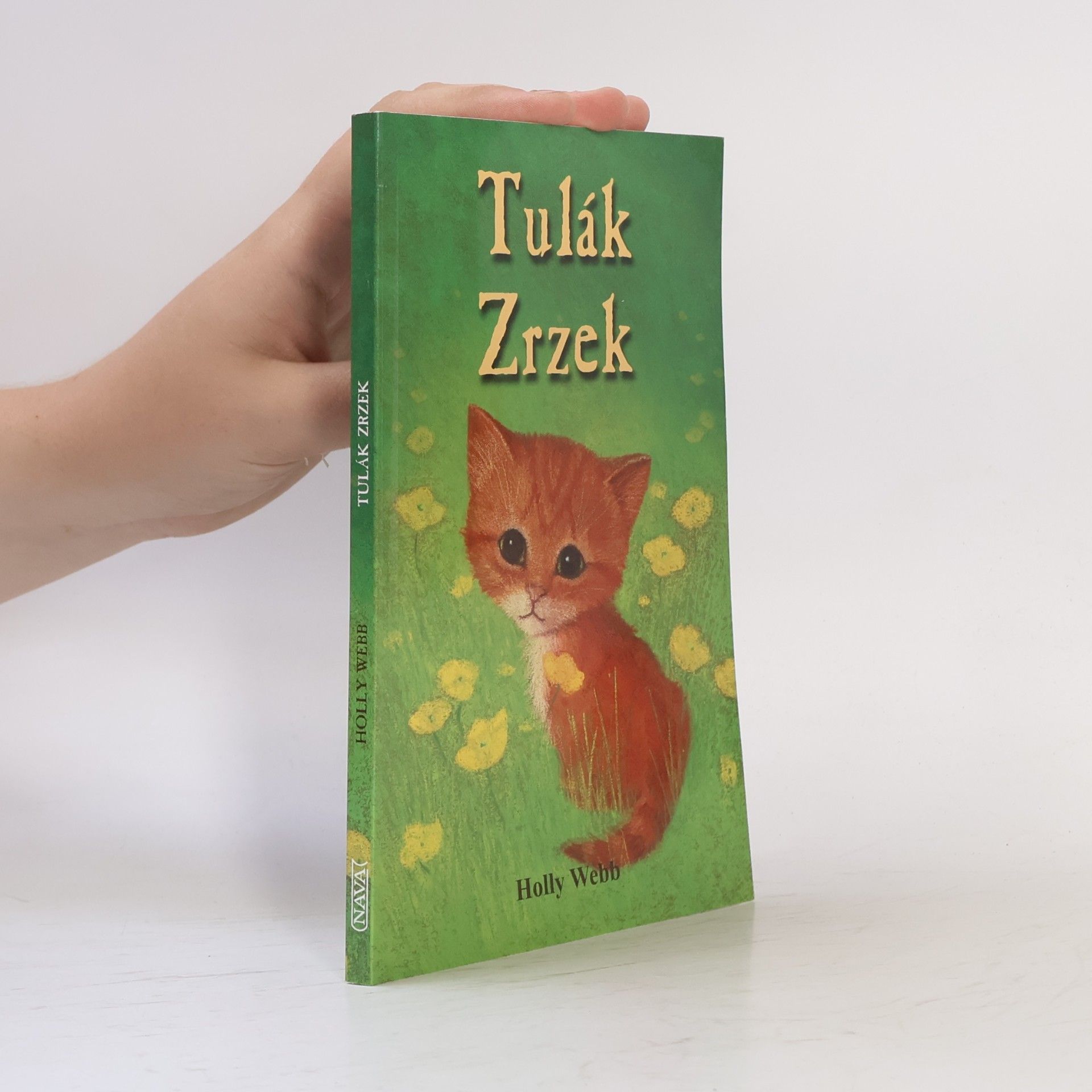 Holly Webb Tulák Zrzek