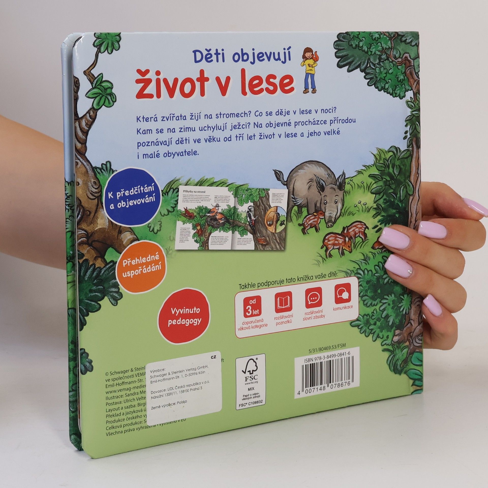 Kolektiv autorů Děti objevují život v lese