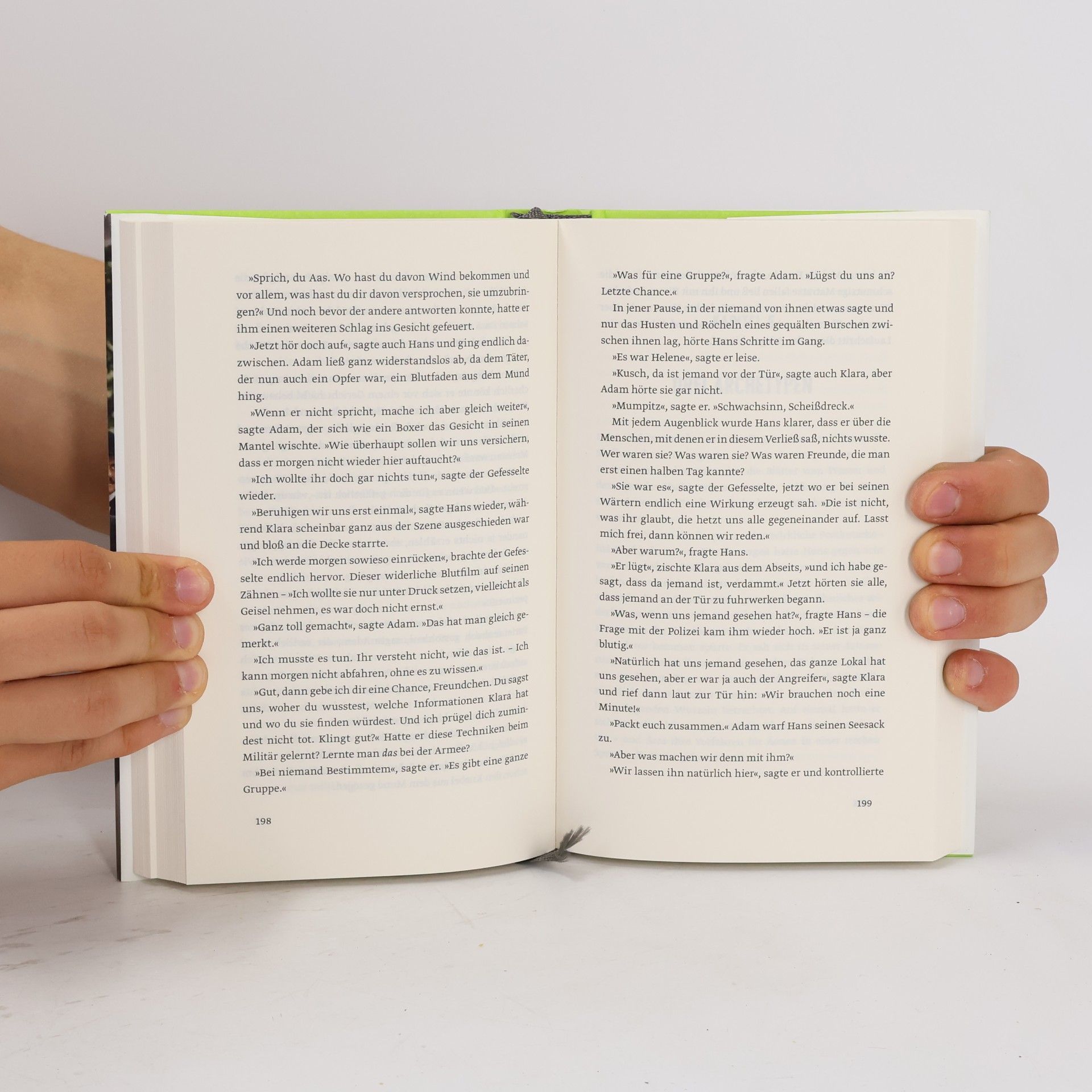 Raphaela Edelbauer Die Inkommensurablen