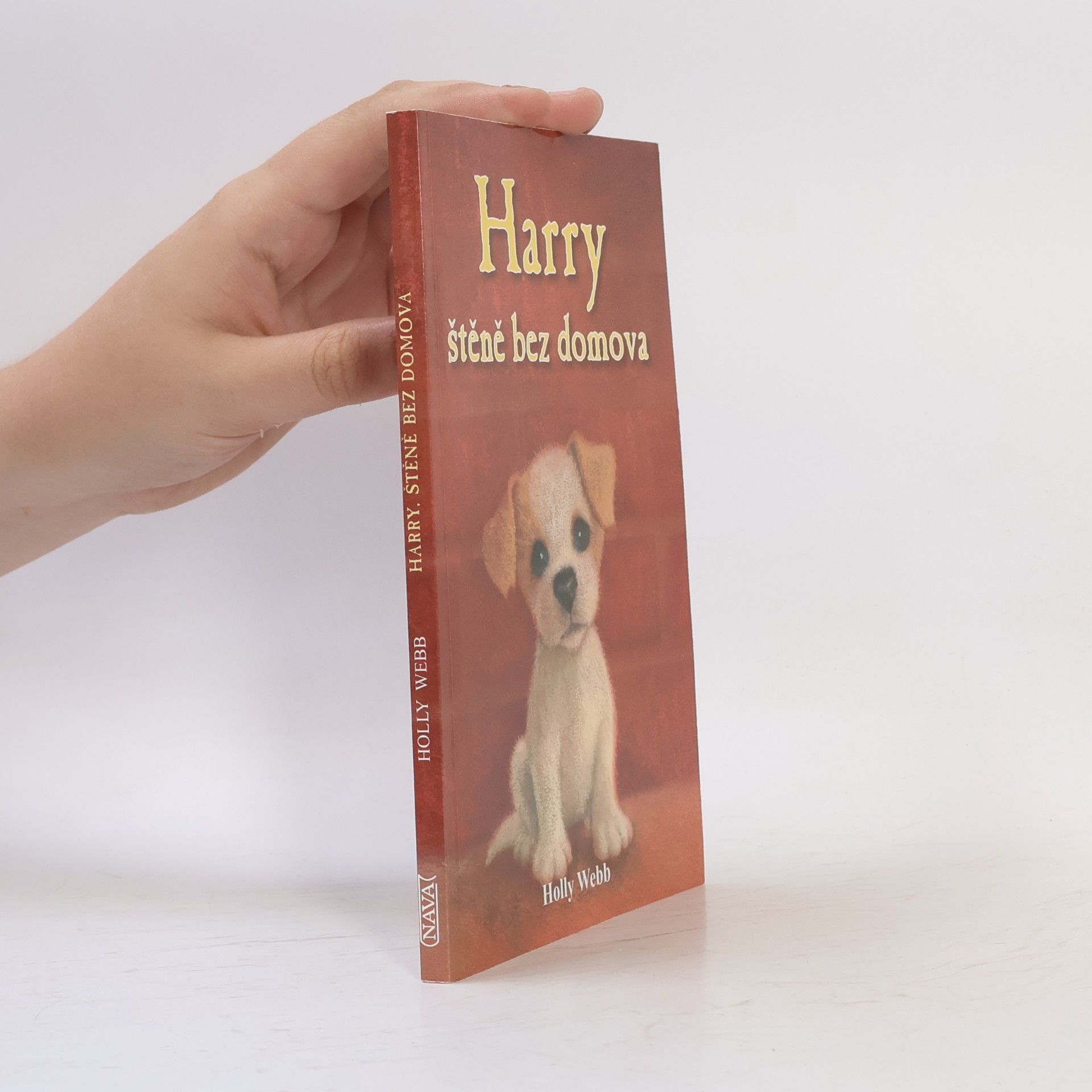 Holly Webb Harry, štěně bez domova