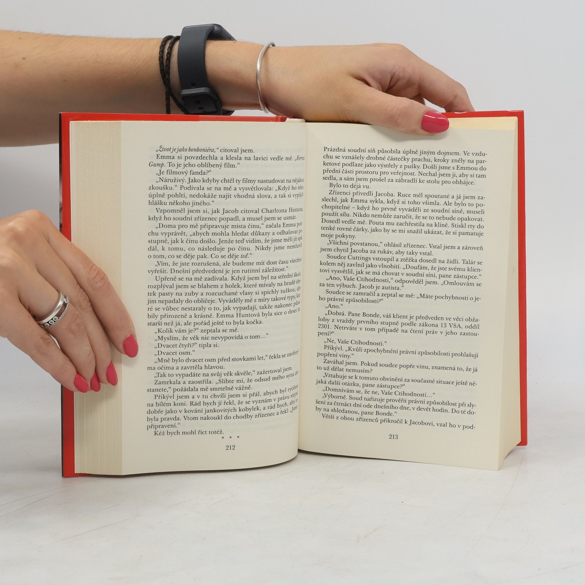 Jodi Picoult Nejsem jako vy