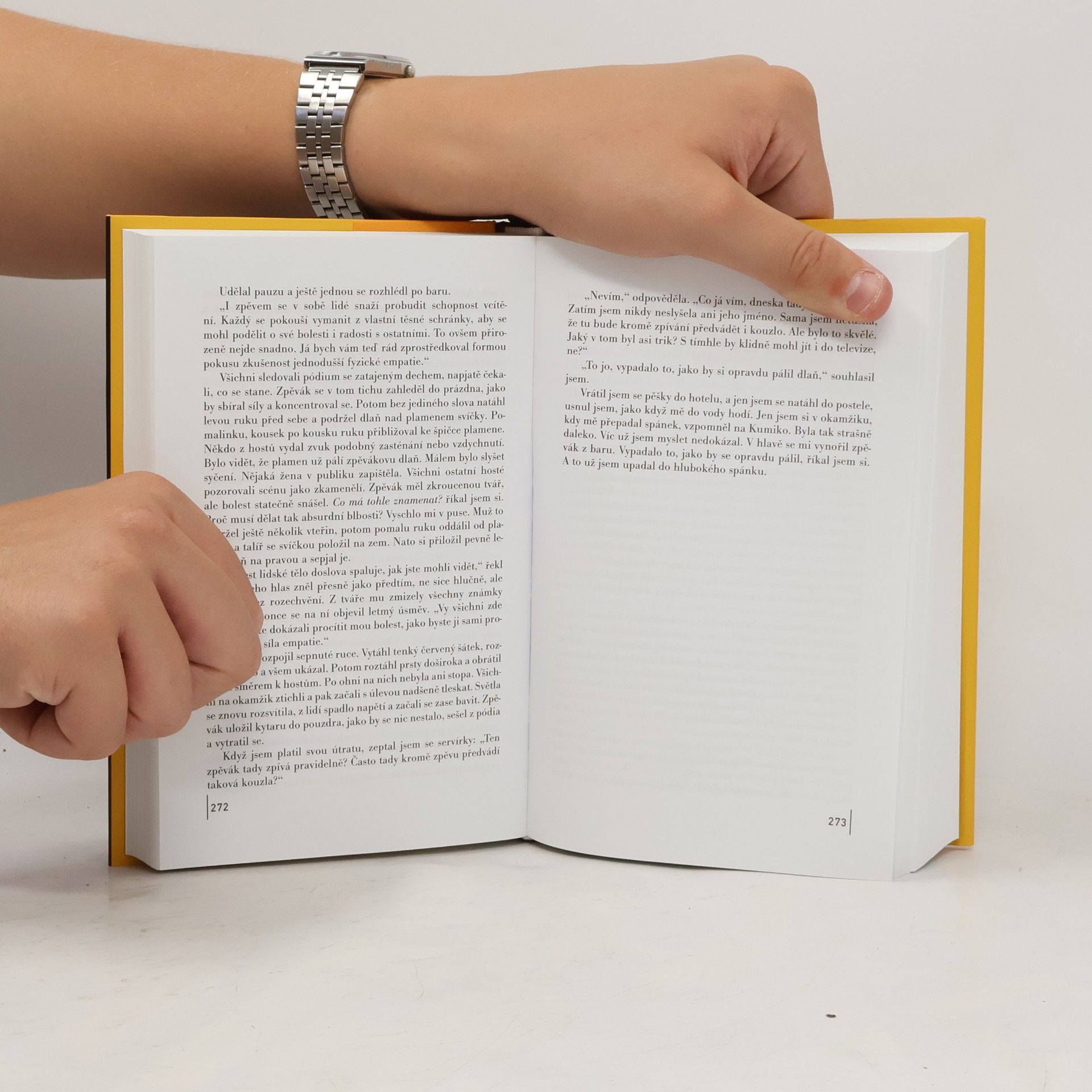Haruki Murakami Kronika ptáčka na klíček