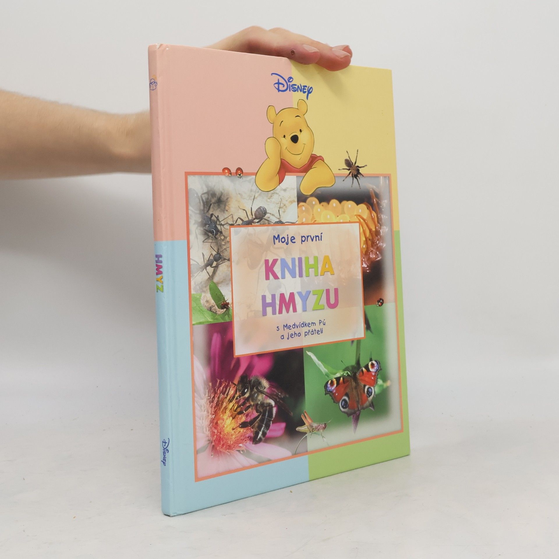 Walt Disney Moje první kniha hmyzu s Medvídkem Pú a jeho přáteli