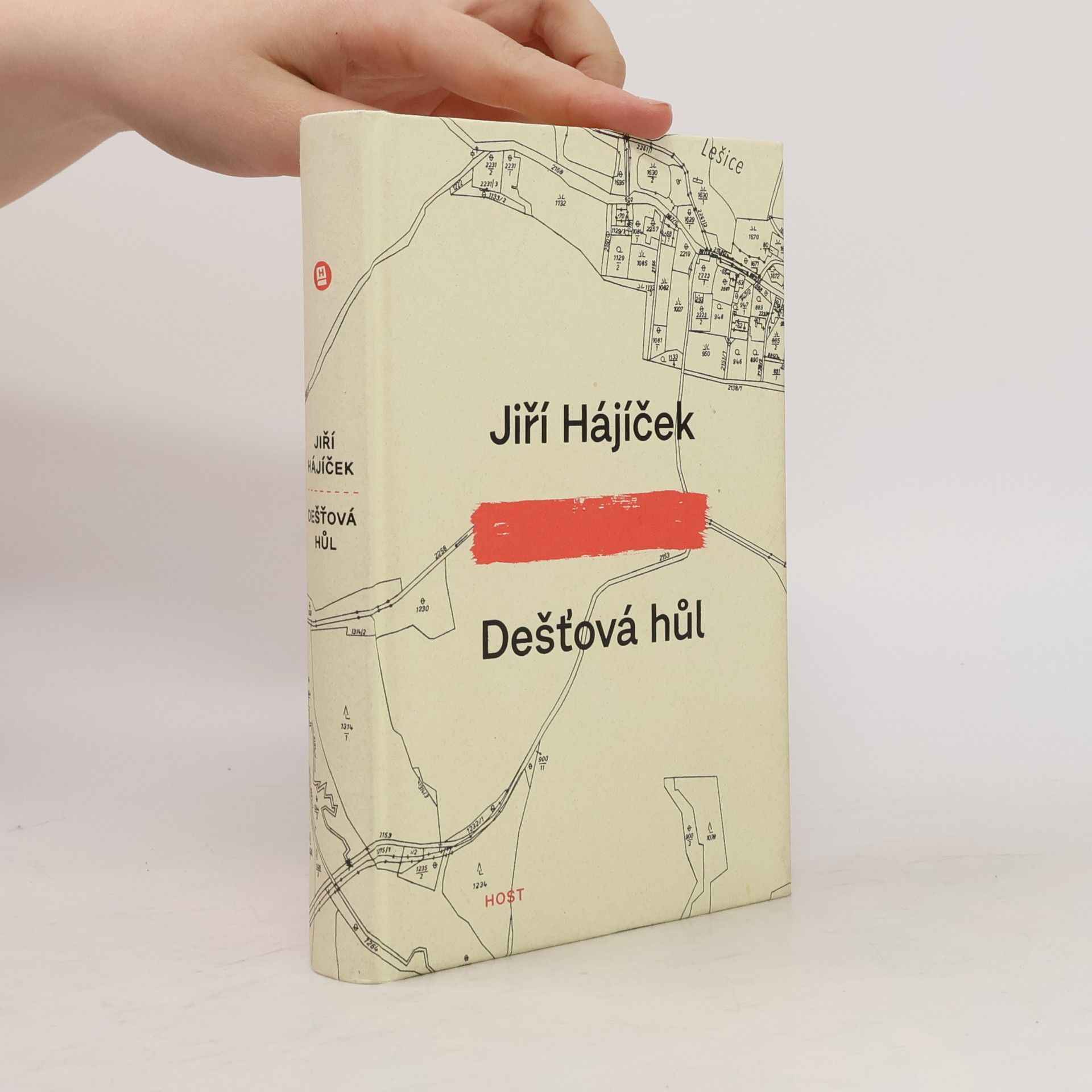 Jiří Hájíček Dešťová hůl