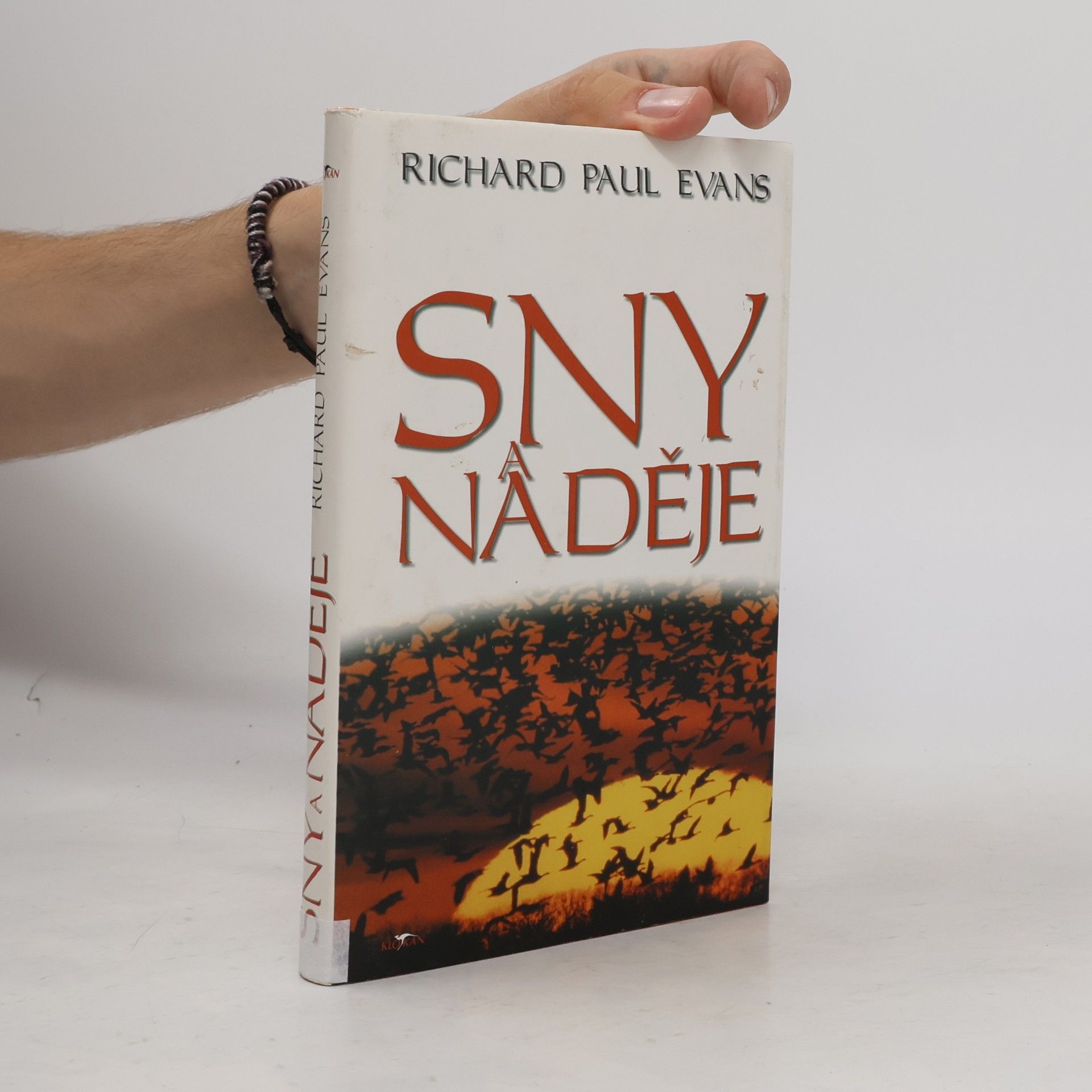Richard Paul Evans Sny a naděje