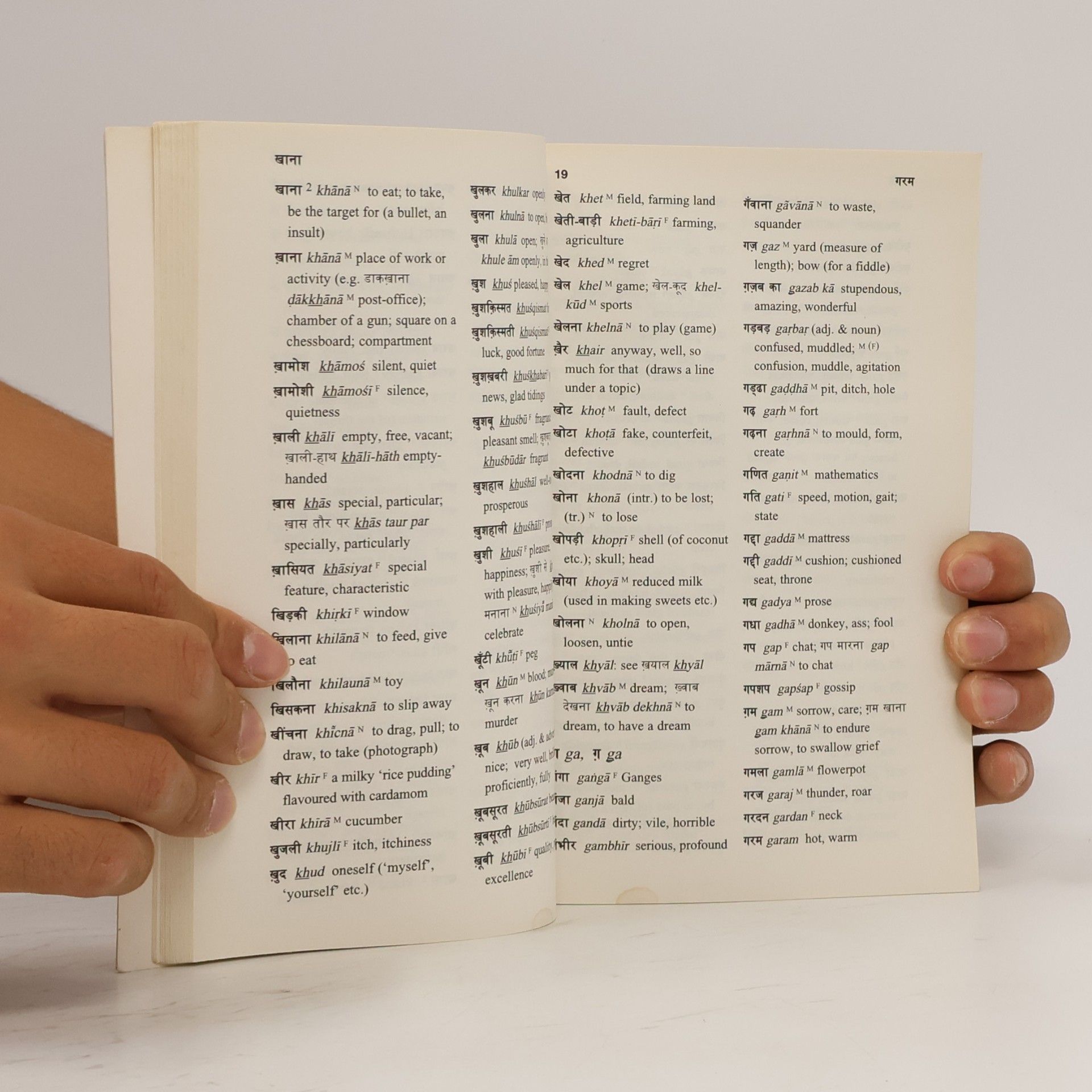Autorenkollektiv Hindi dictionary