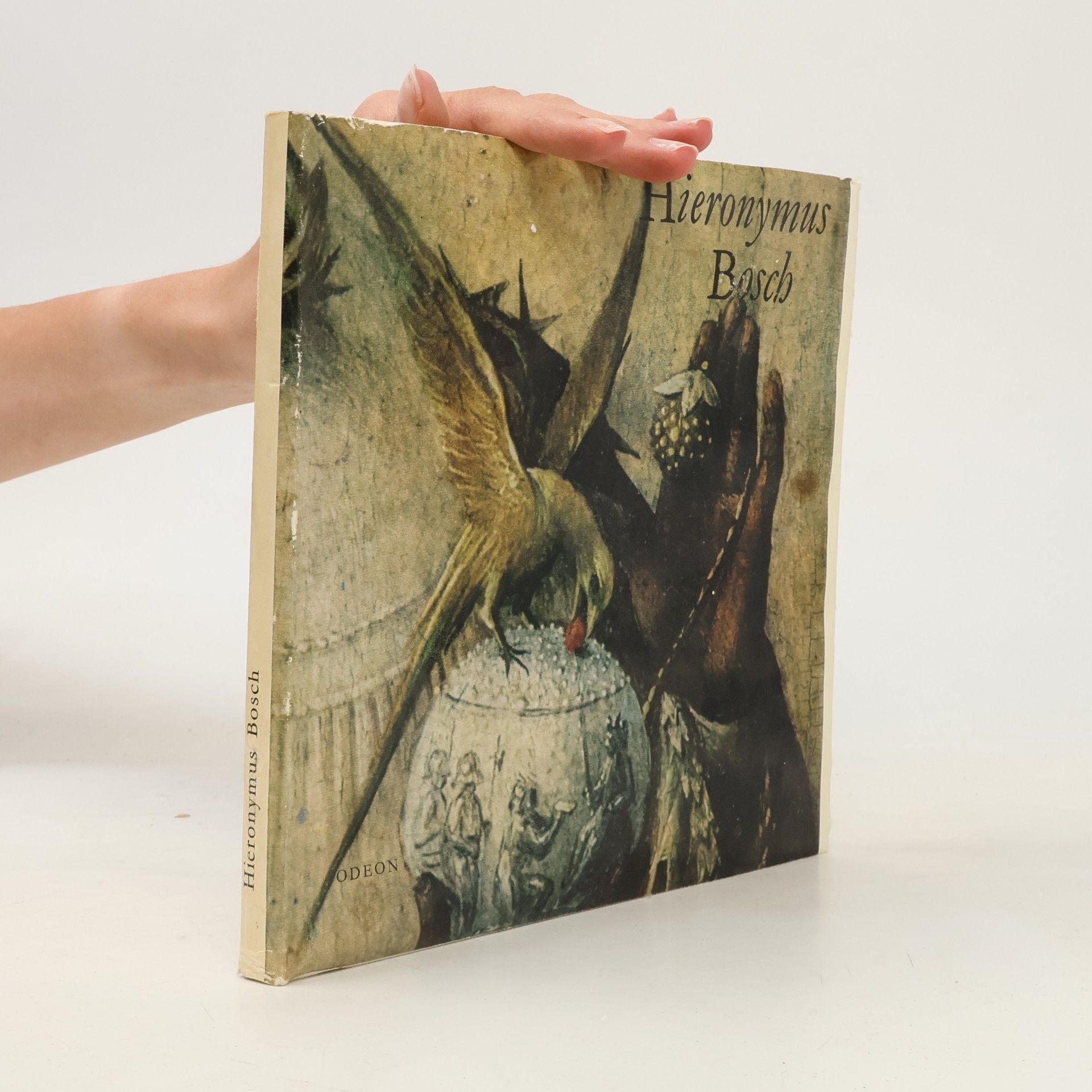 Hana Volavková Hieronymus Bosch