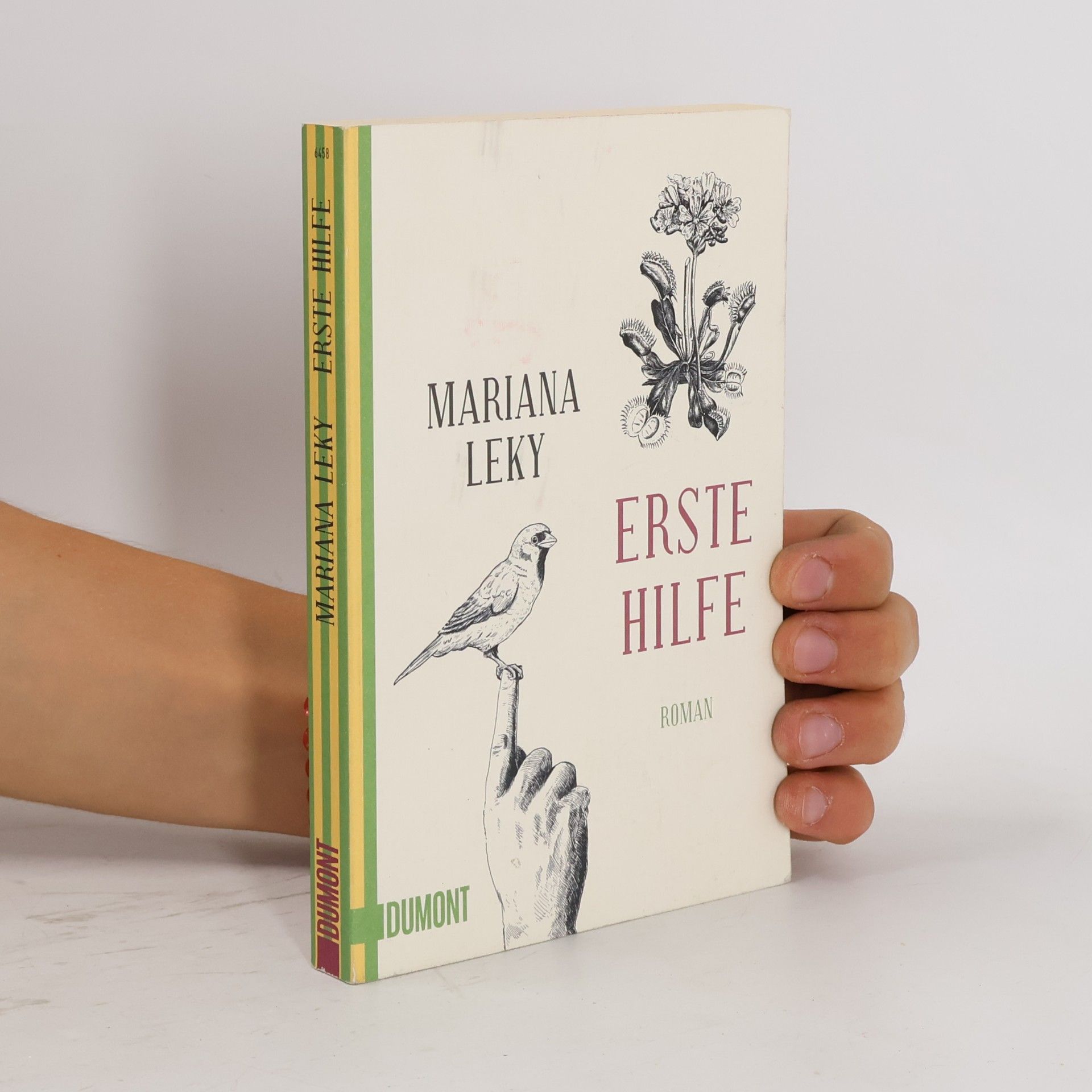 Mariana Leky Erste Hilfe
